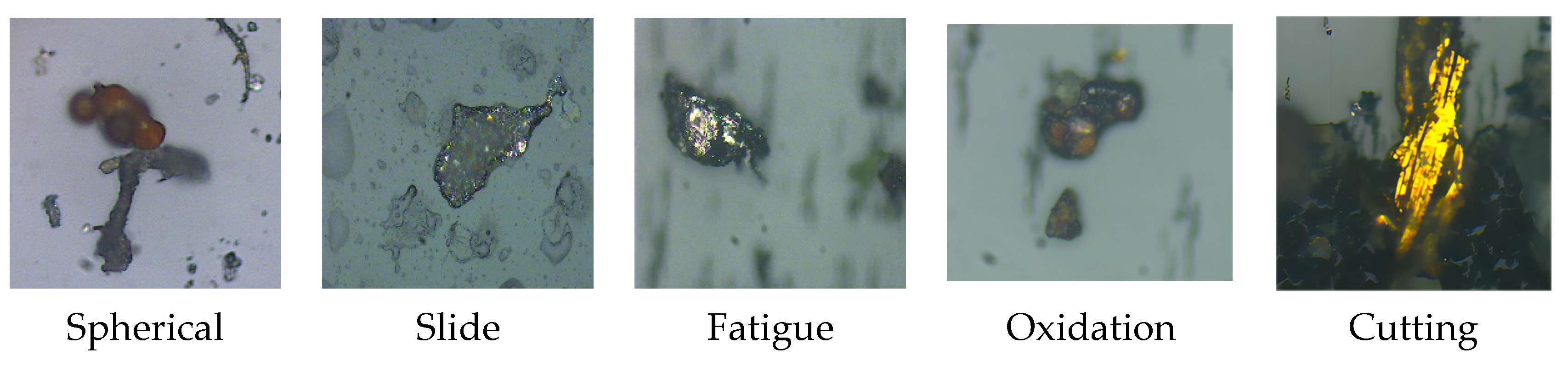 Lubricants 11 00530 g010