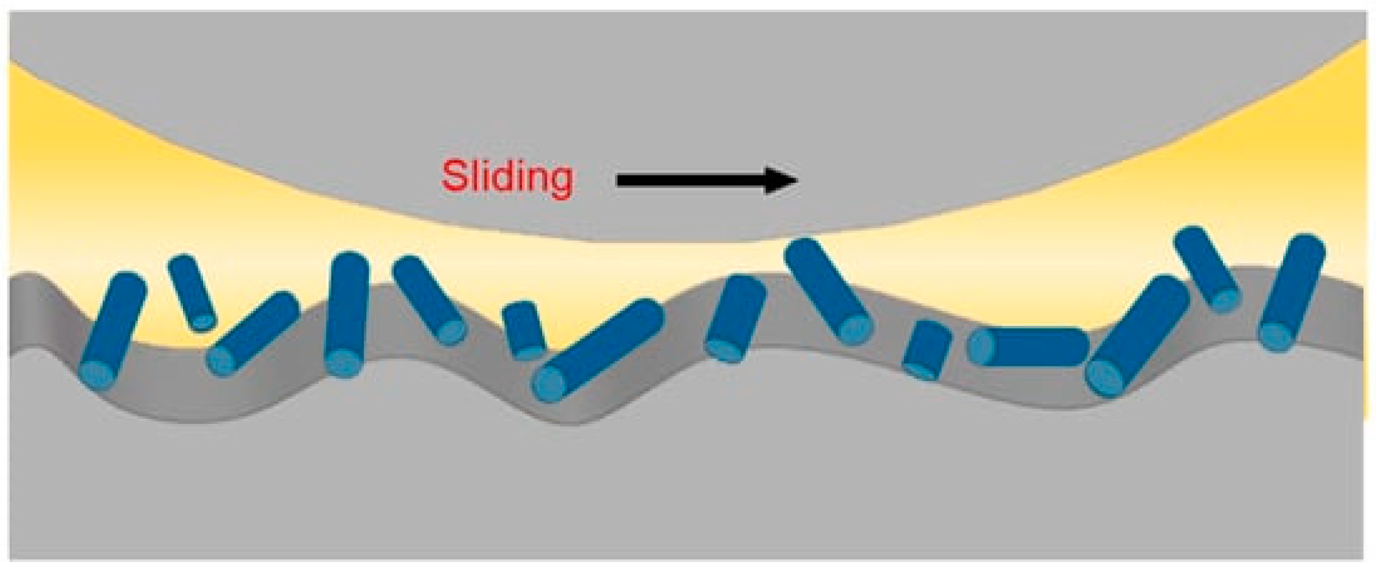 Lubricants 12 00006 g001
