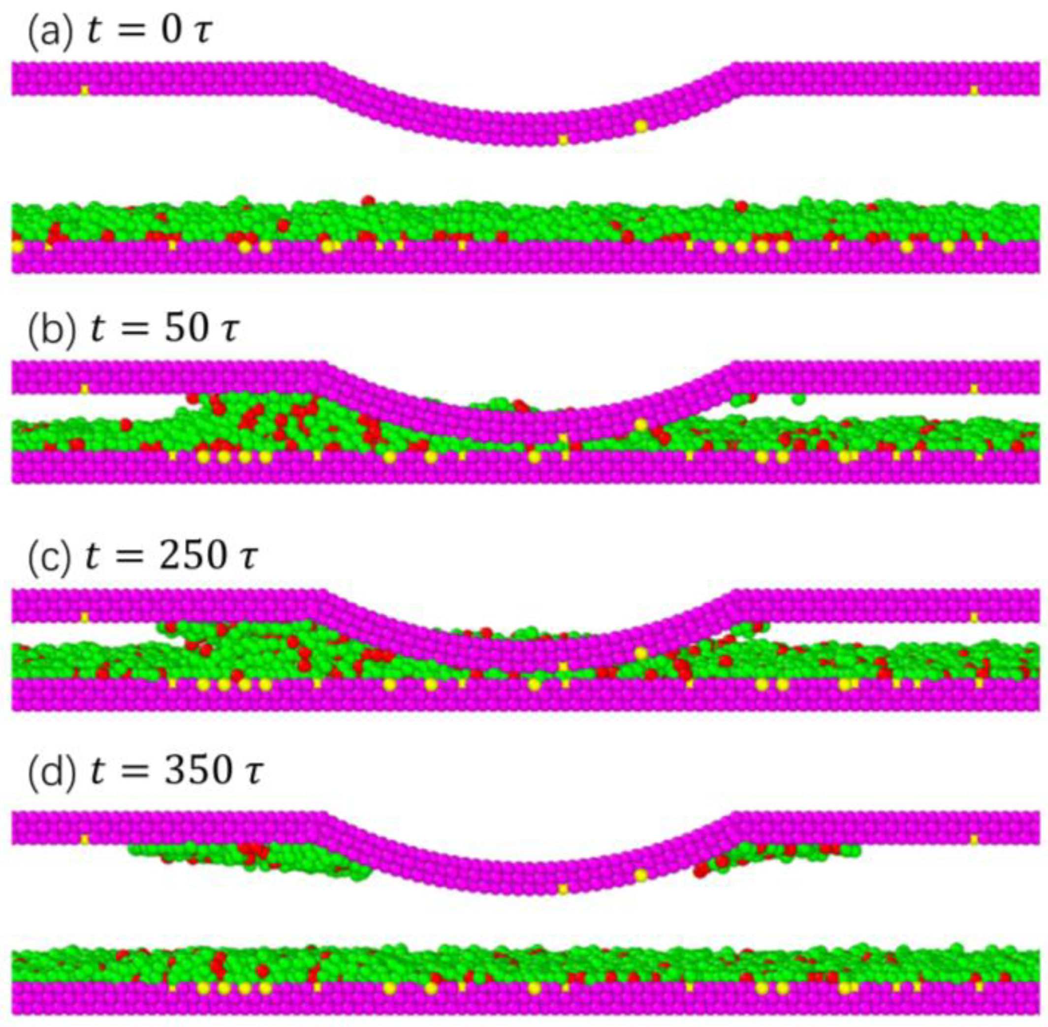 Lubricants 12 00017 g005