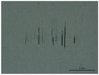 Lubricants 12 00018 i005