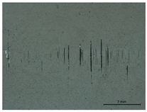 Lubricants 12 00018 i007
