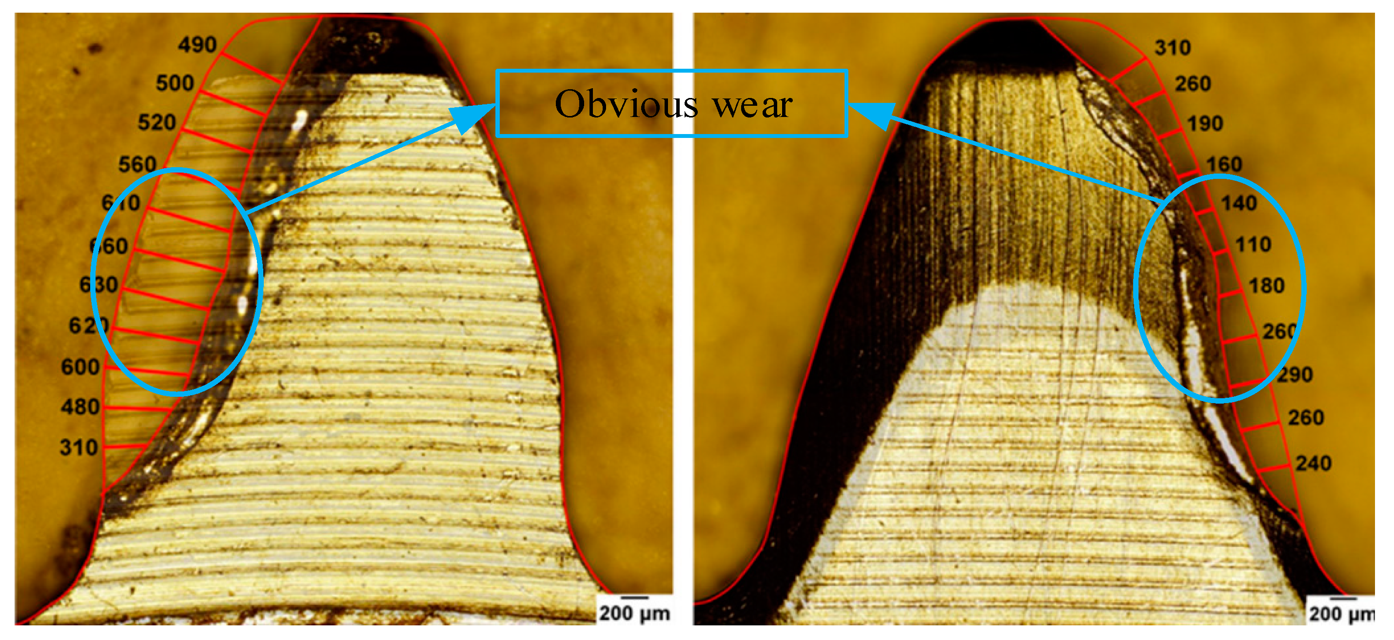 Lubricants 12 00025 g002