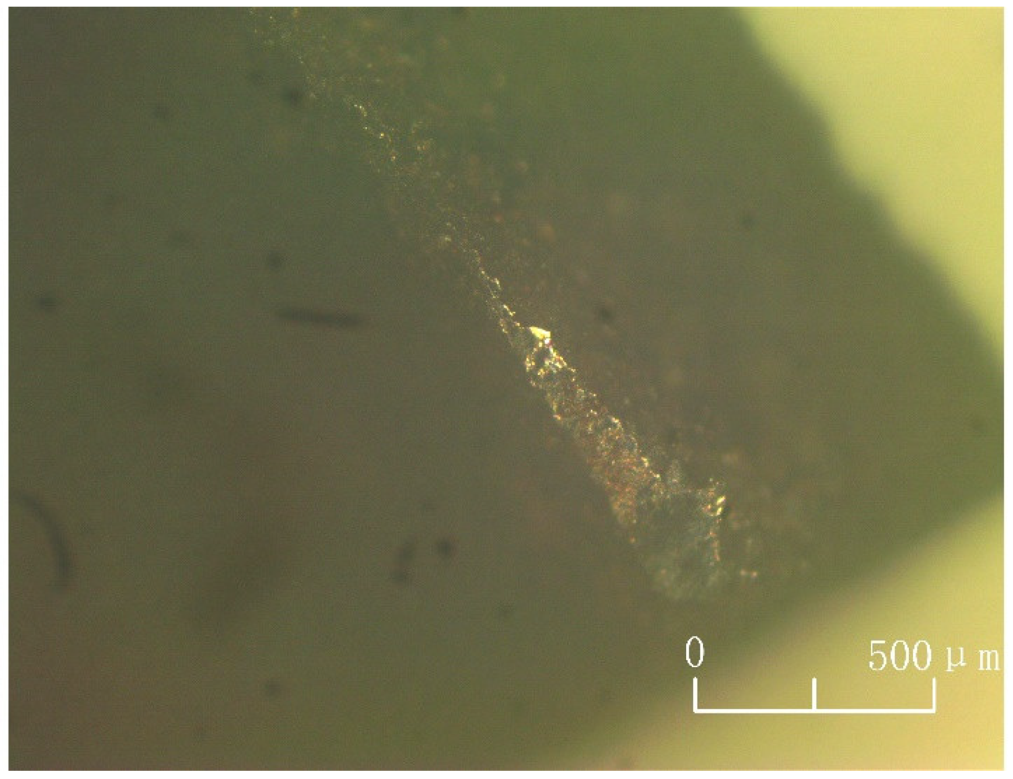 Lubricants 12 00041 g013