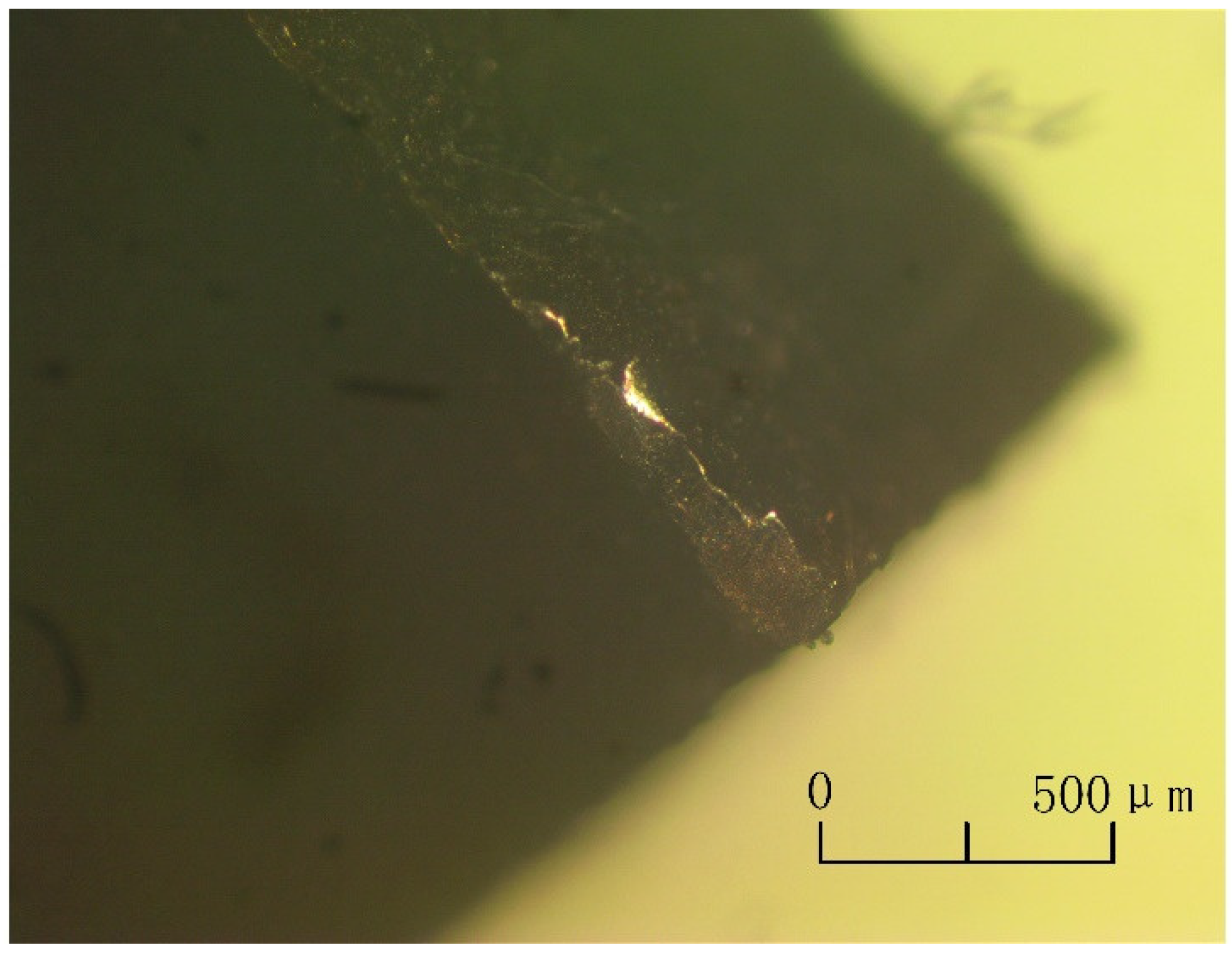 Lubricants 12 00041 g021