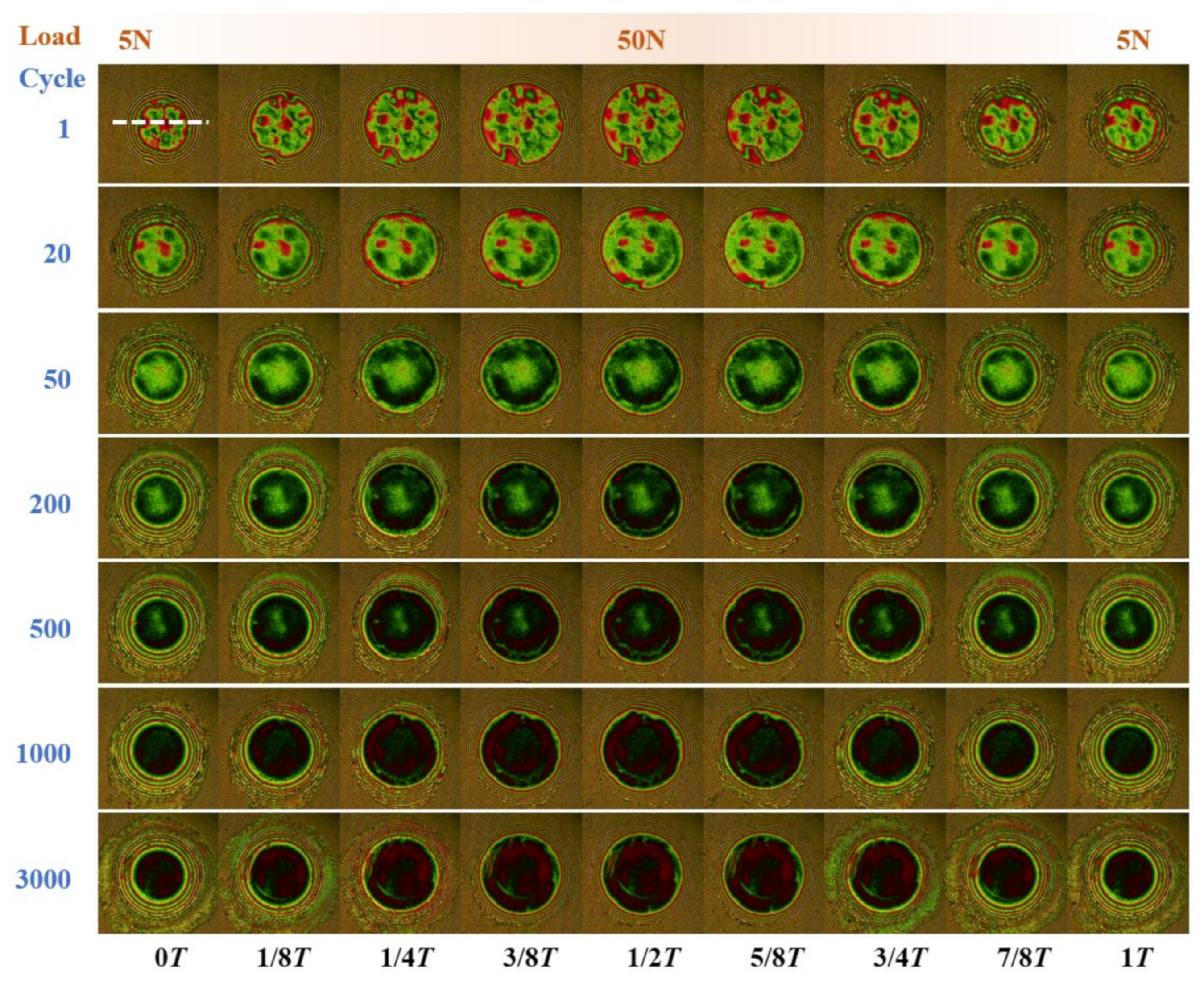 Lubricants 12 00042 g004