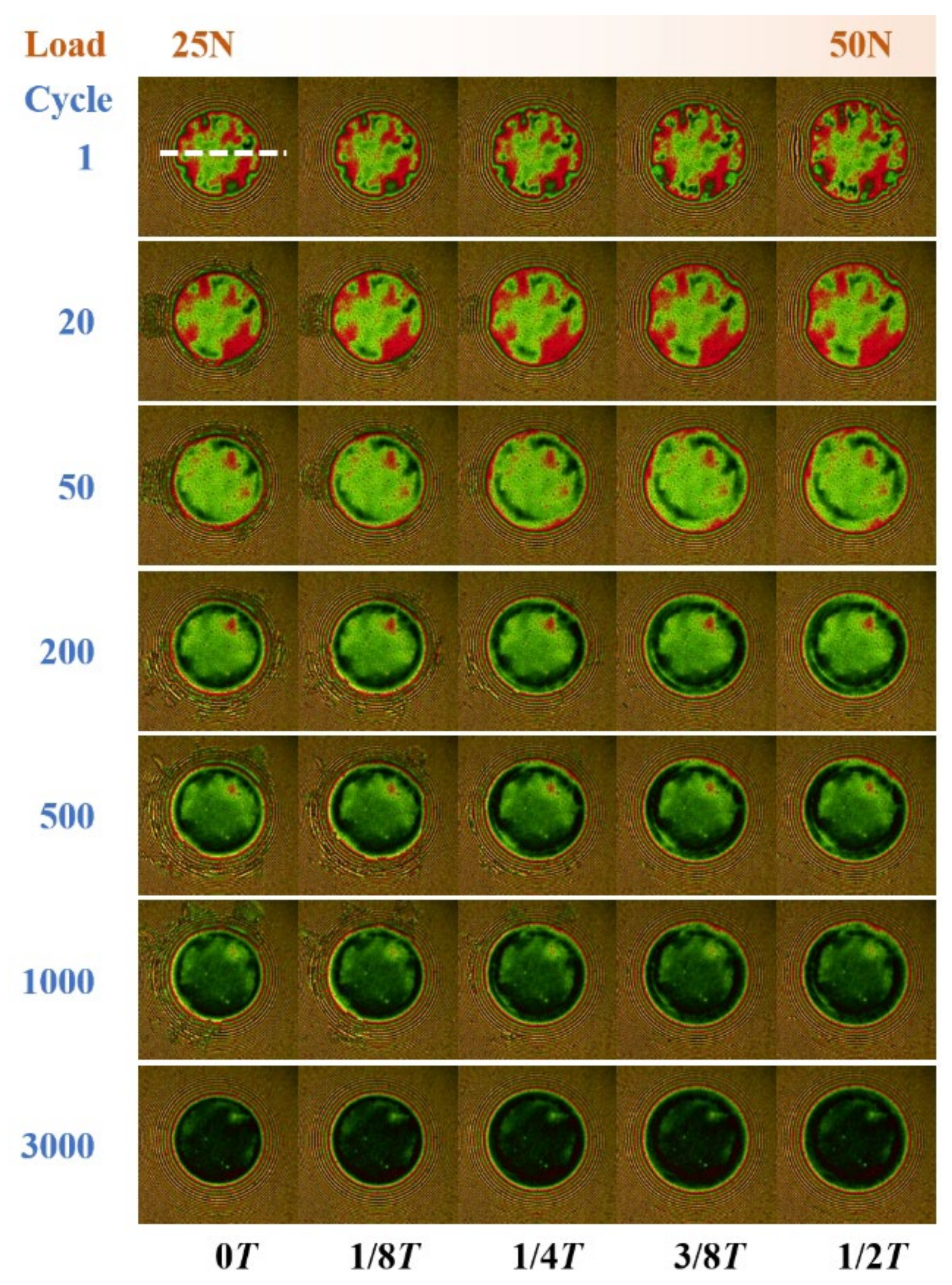 Lubricants 12 00042 g006
