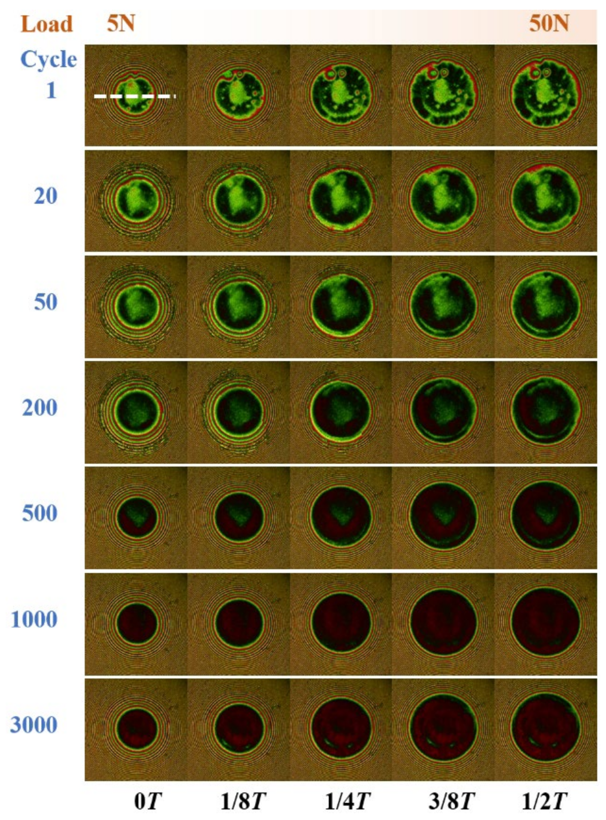 Lubricants 12 00042 g009