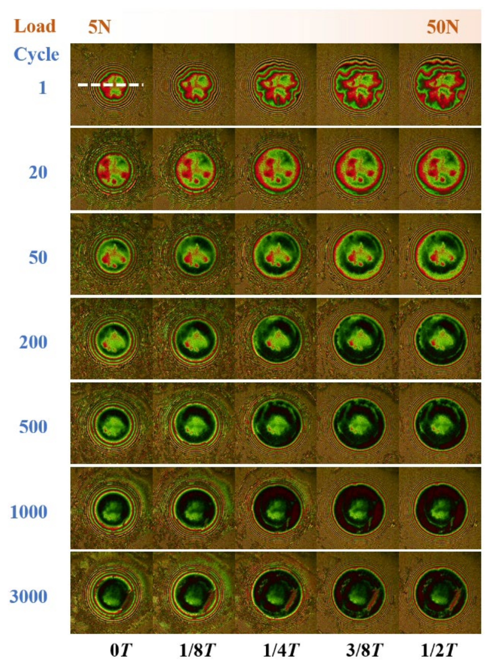 Lubricants 12 00042 g011