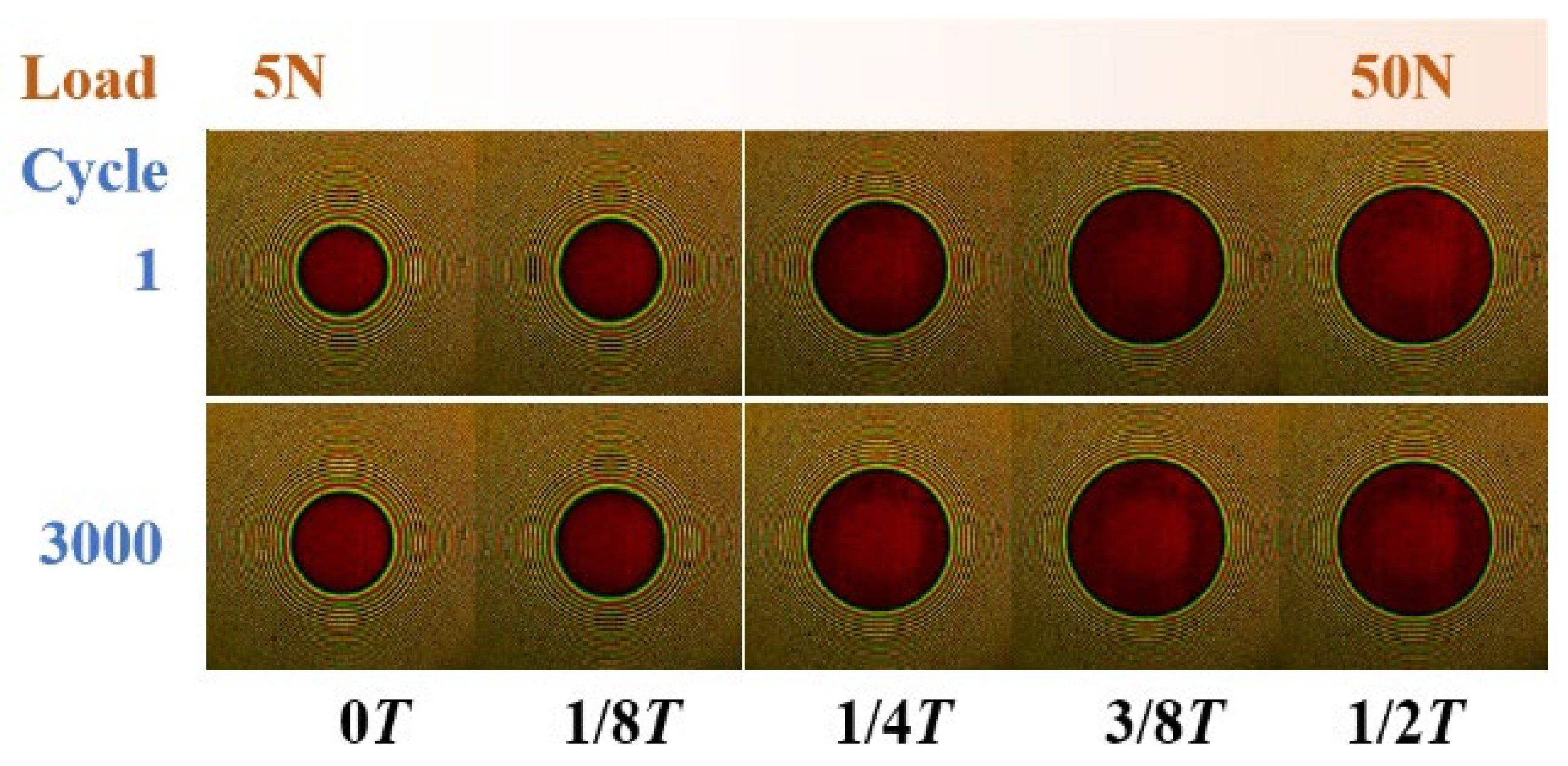 Lubricants 12 00042 g019