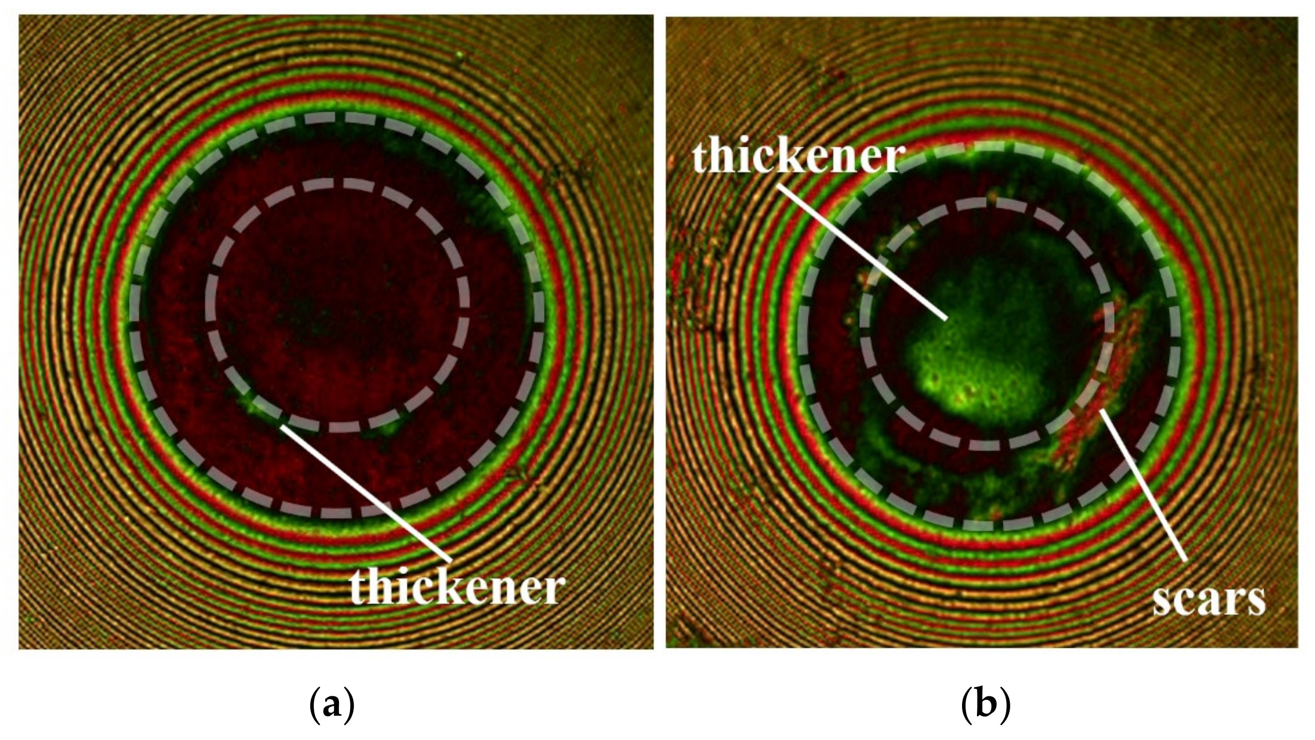 Lubricants 12 00042 g020