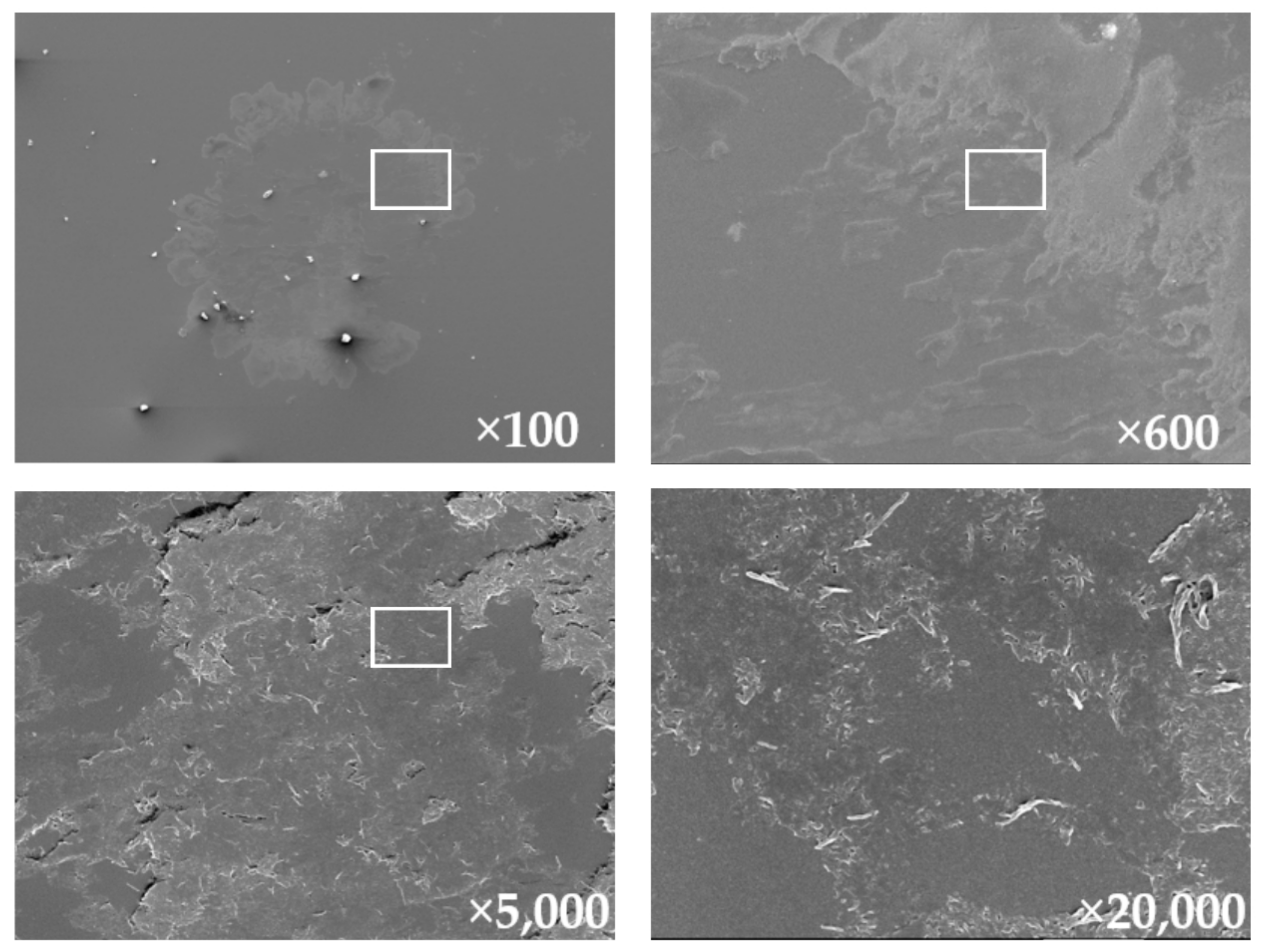 Lubricants 12 00042 g022