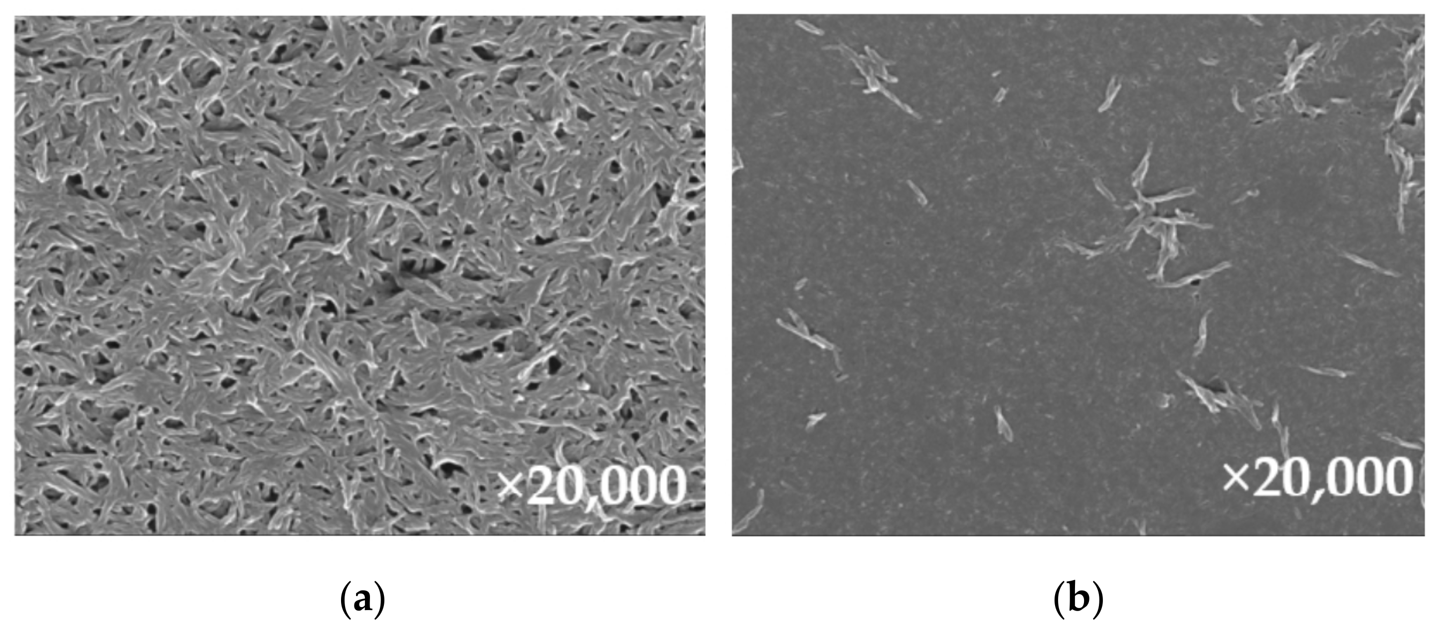 Lubricants 12 00042 g023