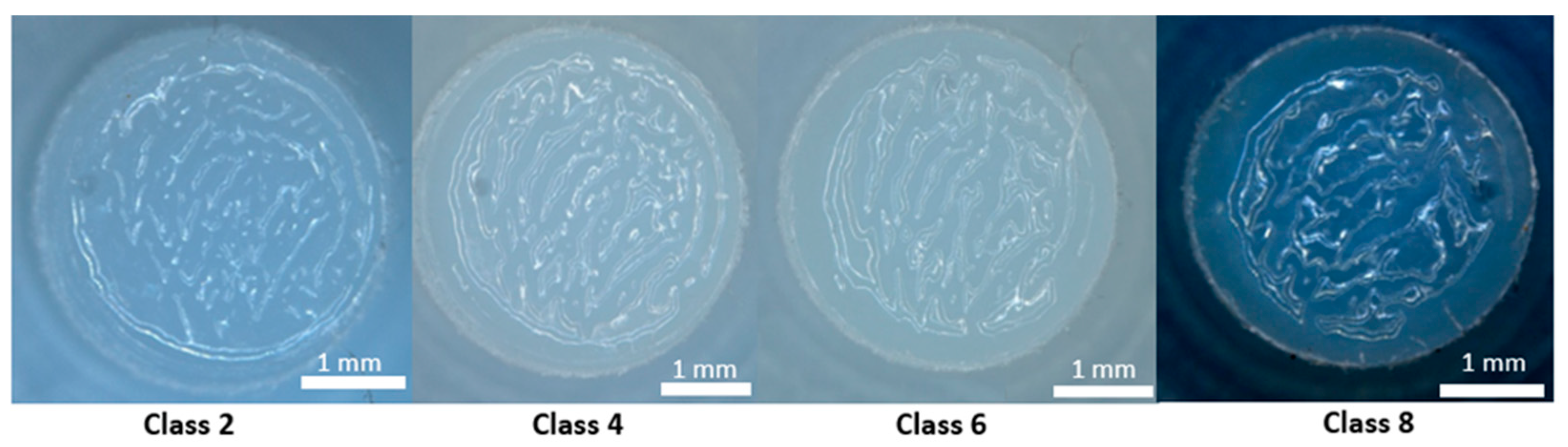 Lubricants 12 00047 g004