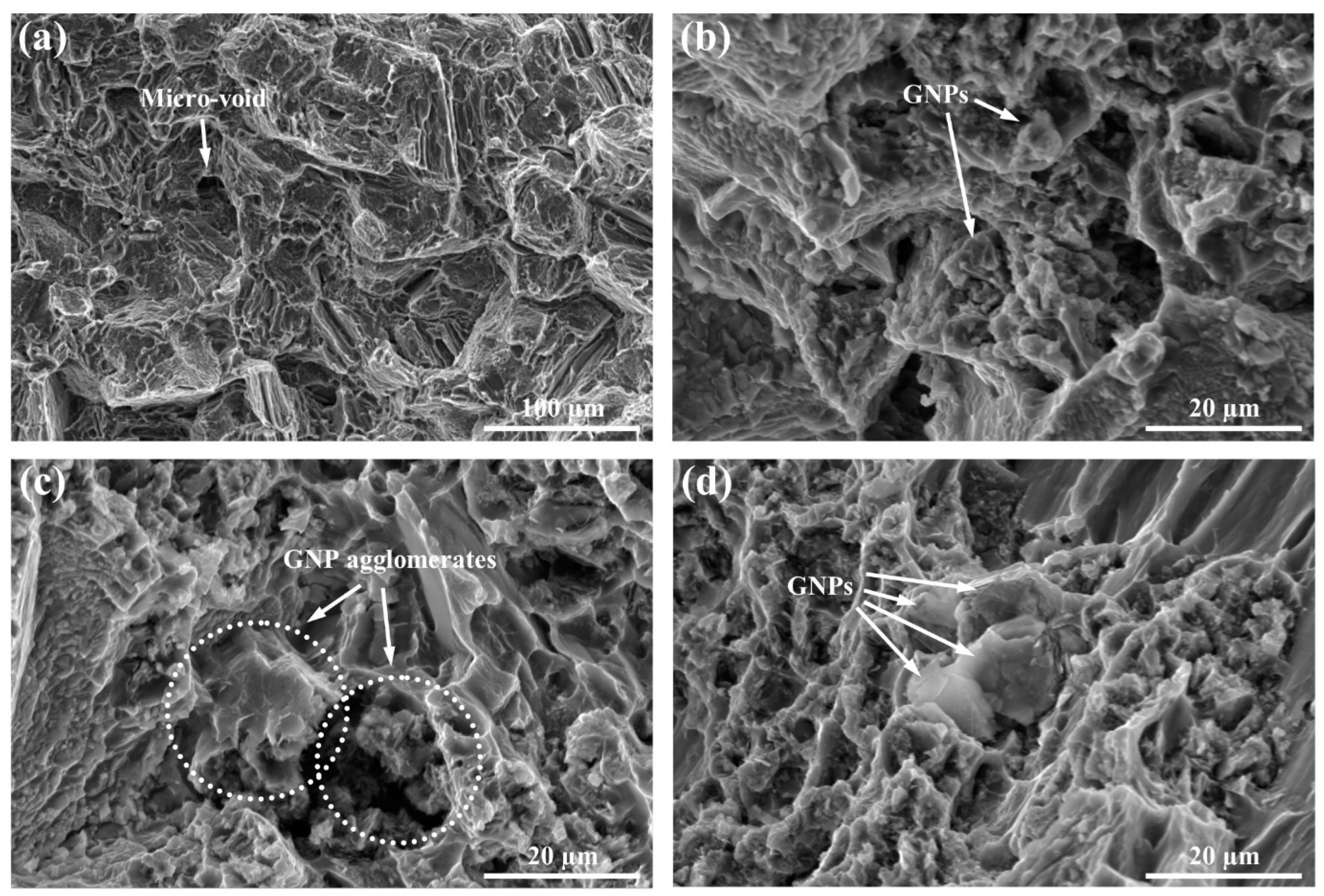 Lubricants 12 00052 g007