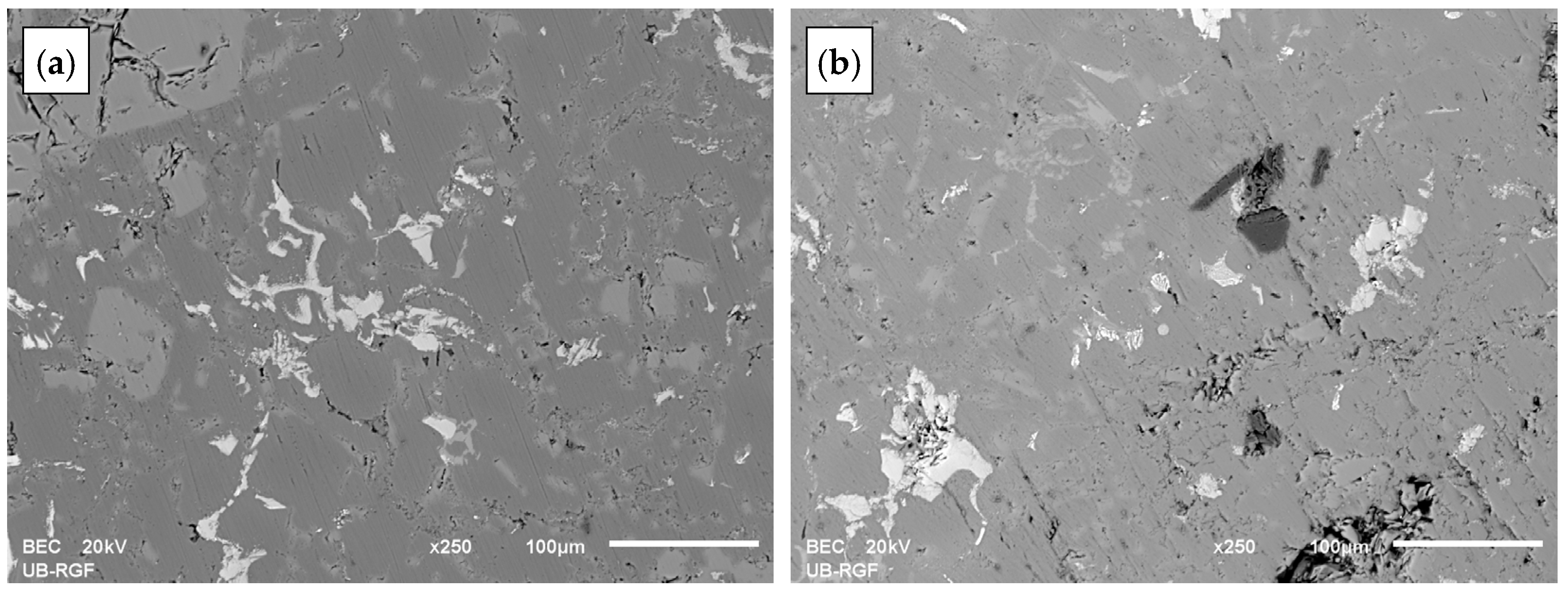 Lubricants 12 00061 g001 Lubricants 12 00061 g001