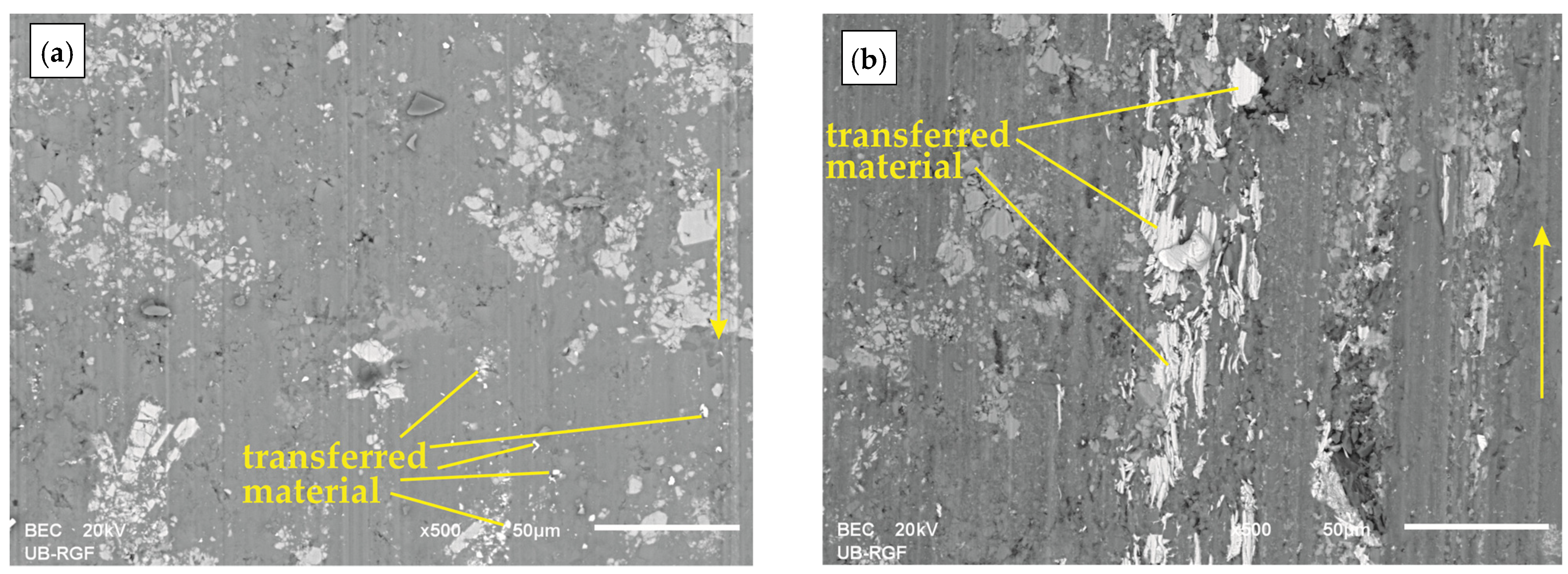 Lubricants 12 00061 g007 Lubricants 12 00061 g007