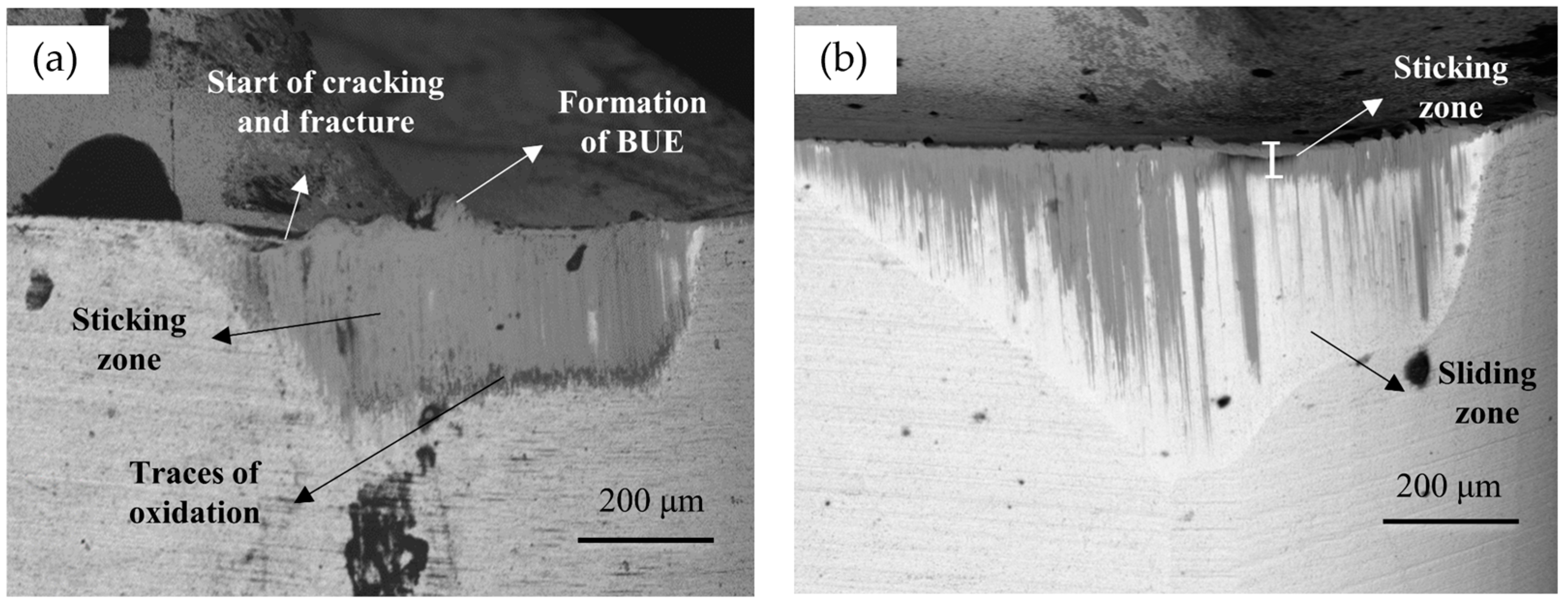 Lubricants 12 00069 g011