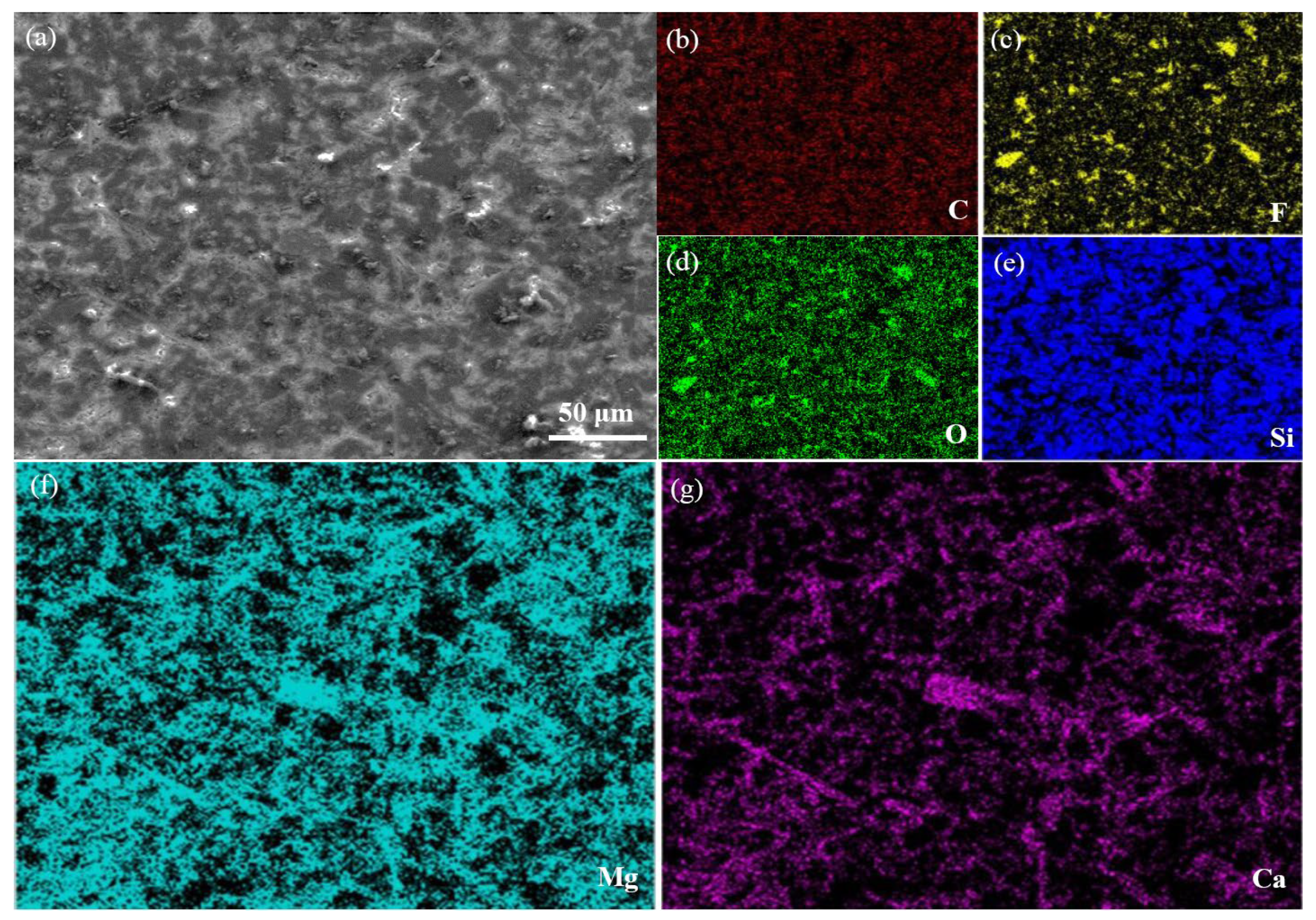 Lubricants 12 00074 g006