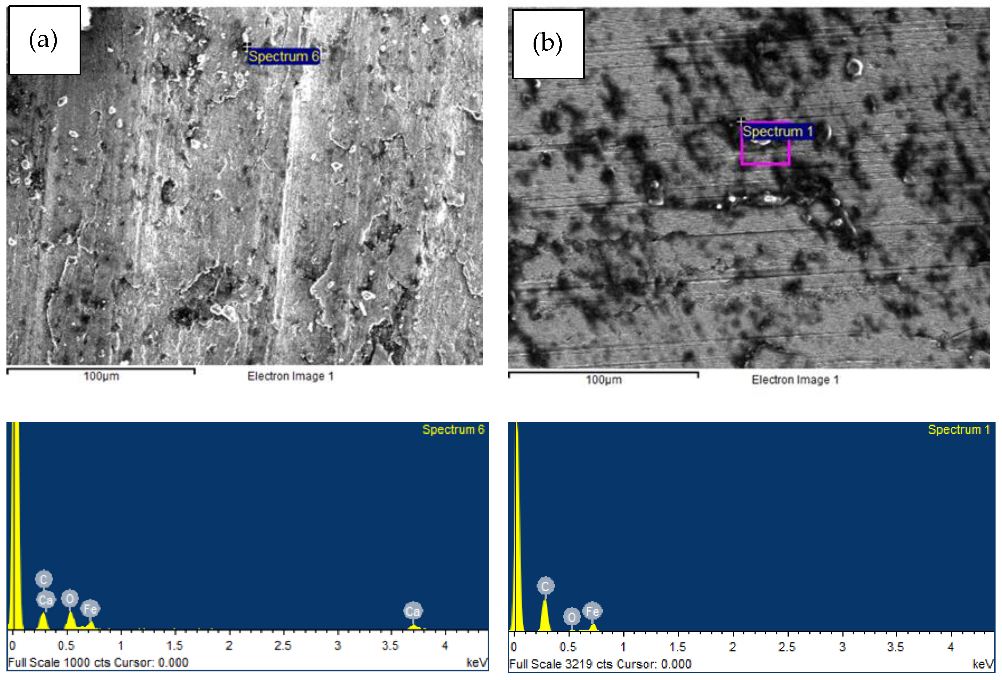 Lubricants 12 00078 g007