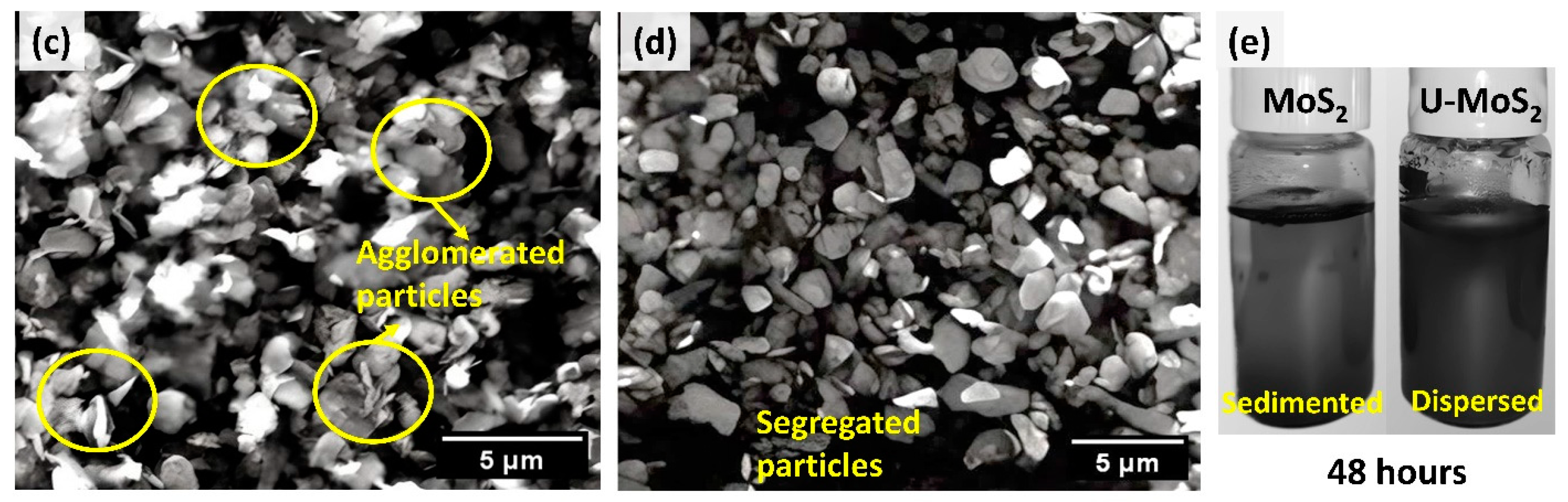 Lubricants 12 00080 g001b