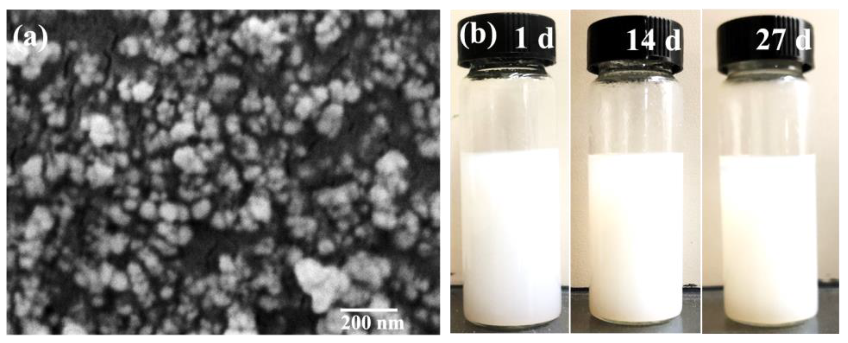 Lubricants 12 00081 g002