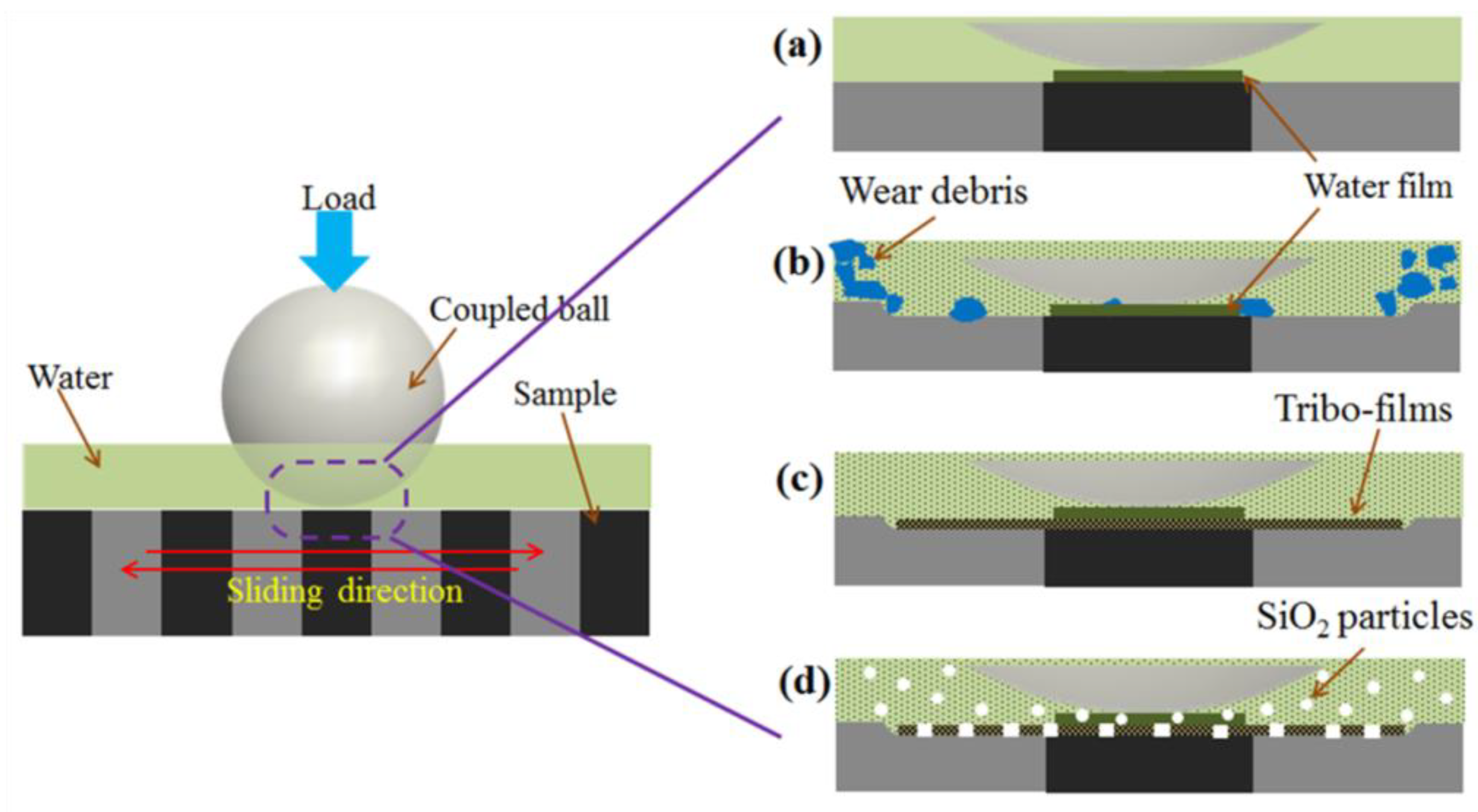 Lubricants 12 00081 g007