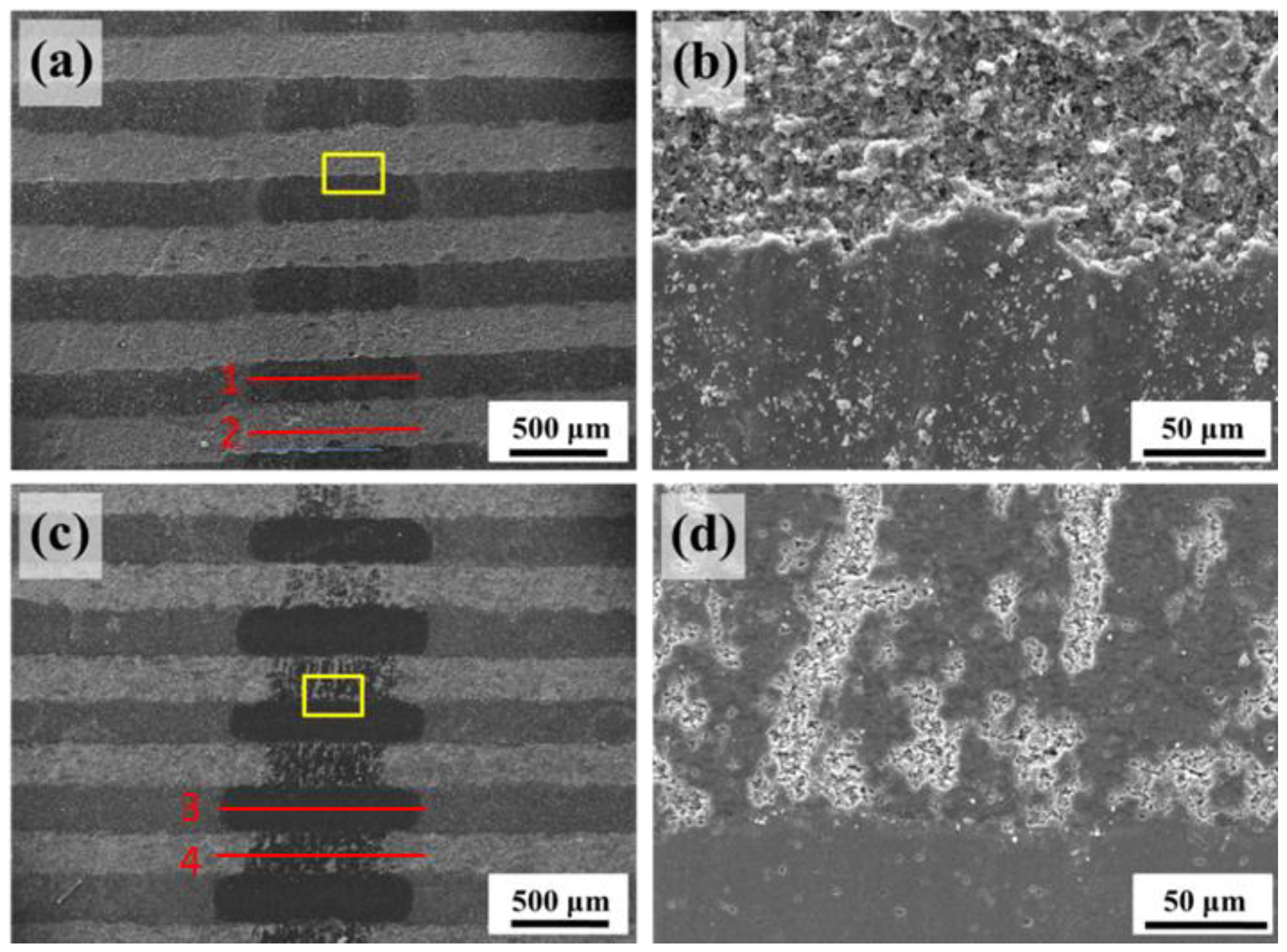 Lubricants 12 00081 g008