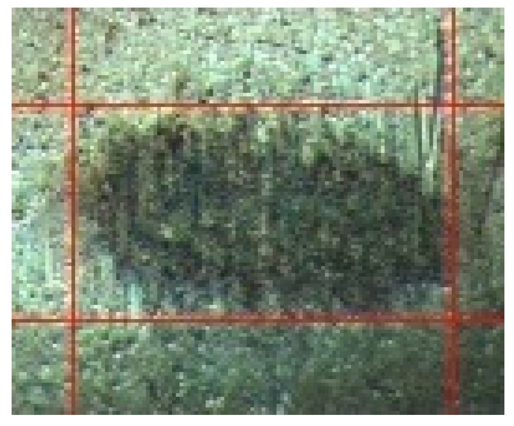 Lubricants 12 00090 g004