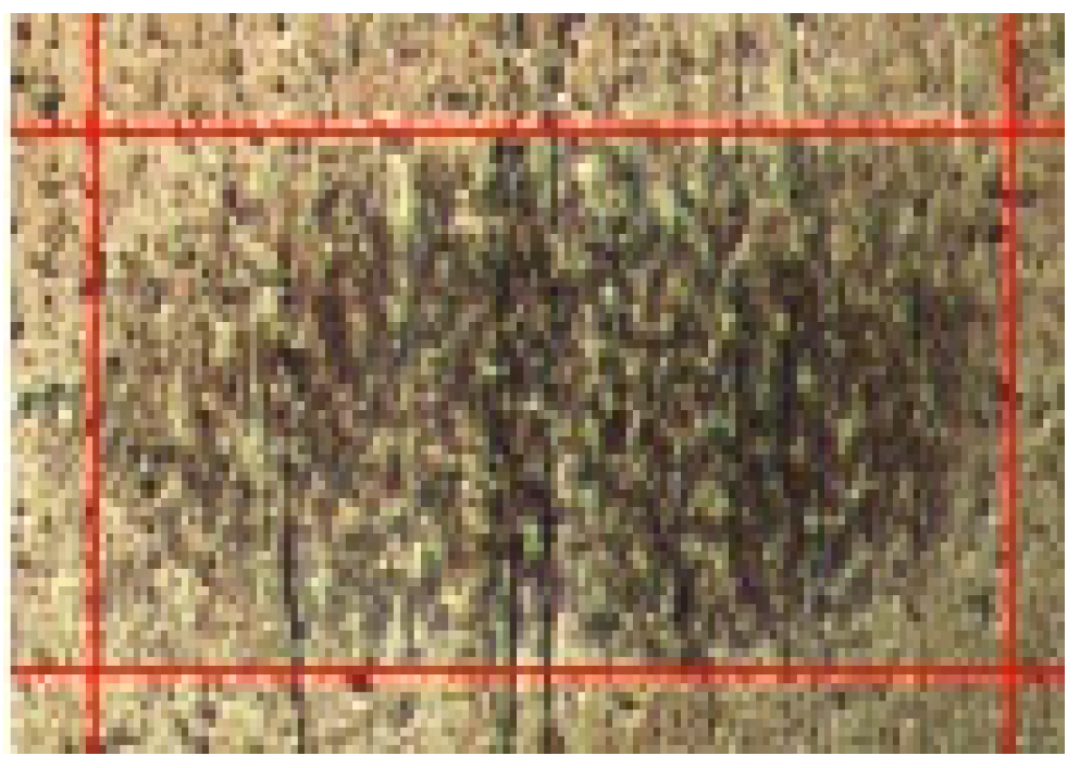 Lubricants 12 00090 g007