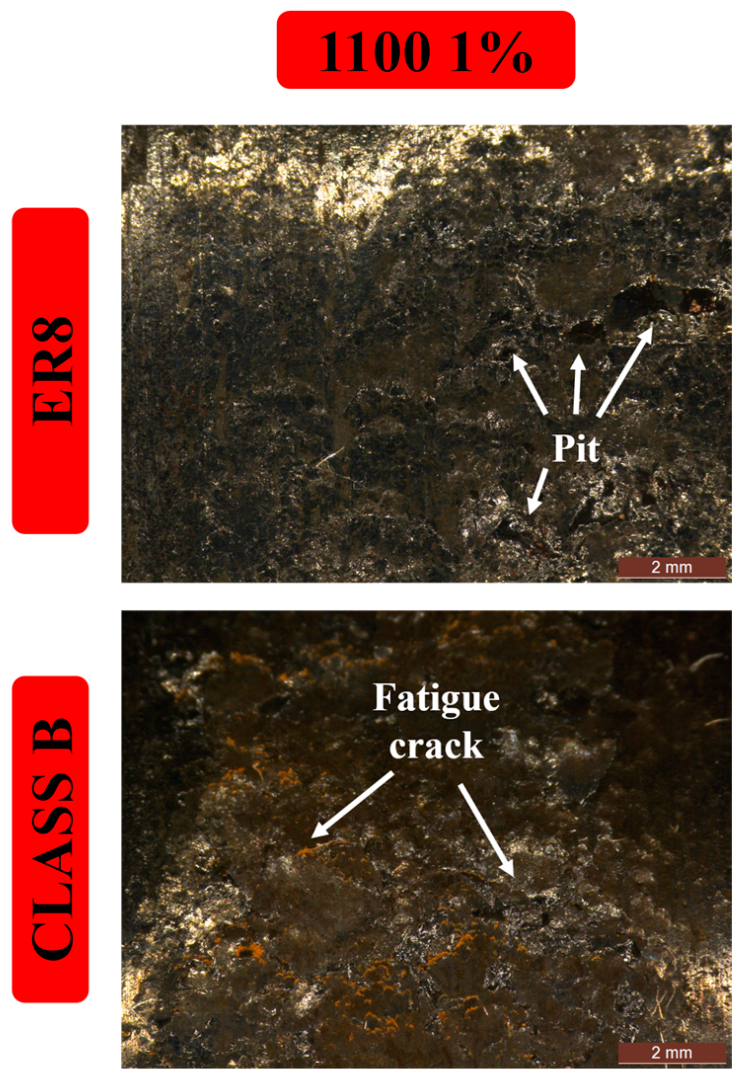 Lubricants 12 00093 g011