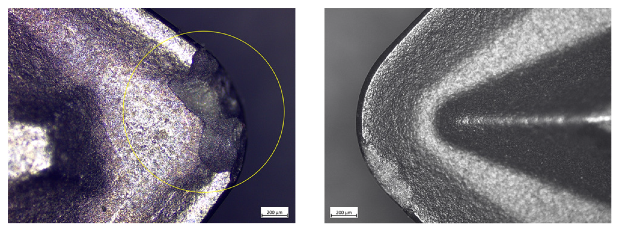 Lubricants 12 00099 g005