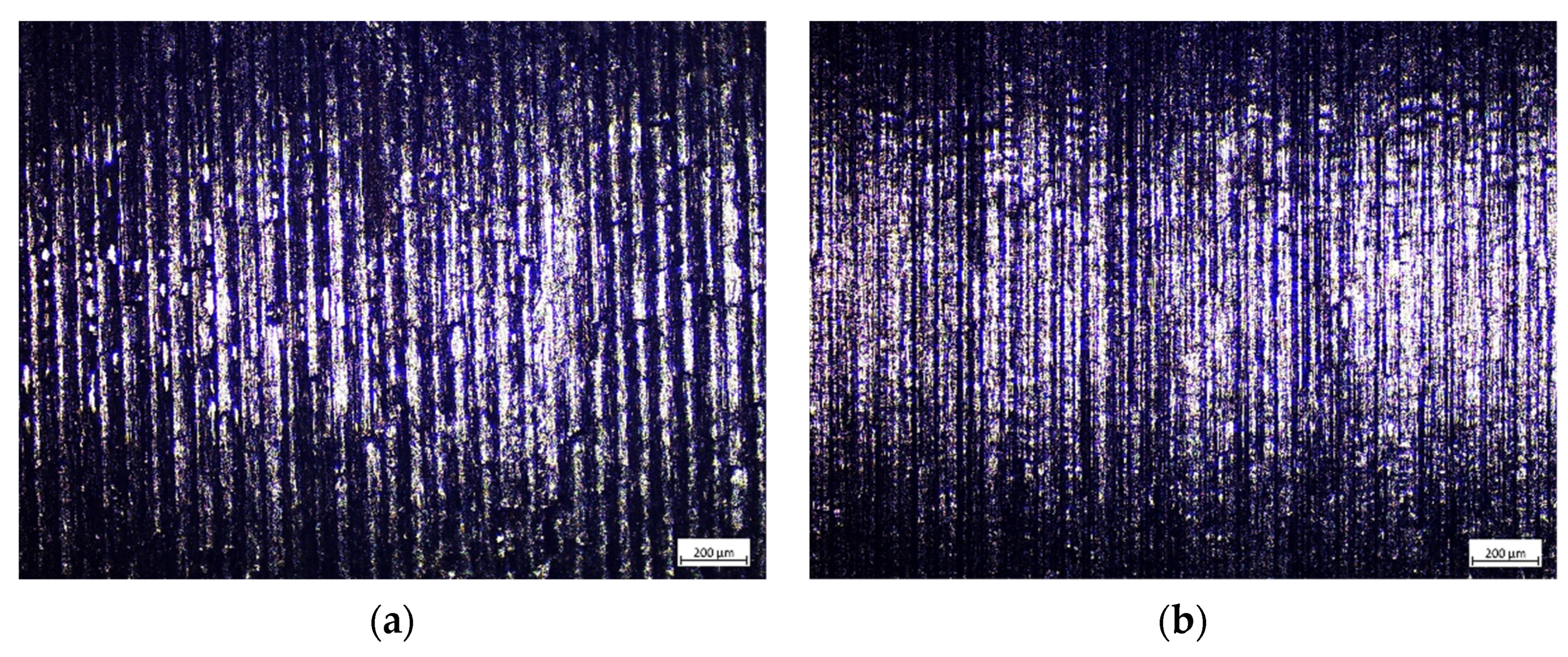 Lubricants 12 00099 g008