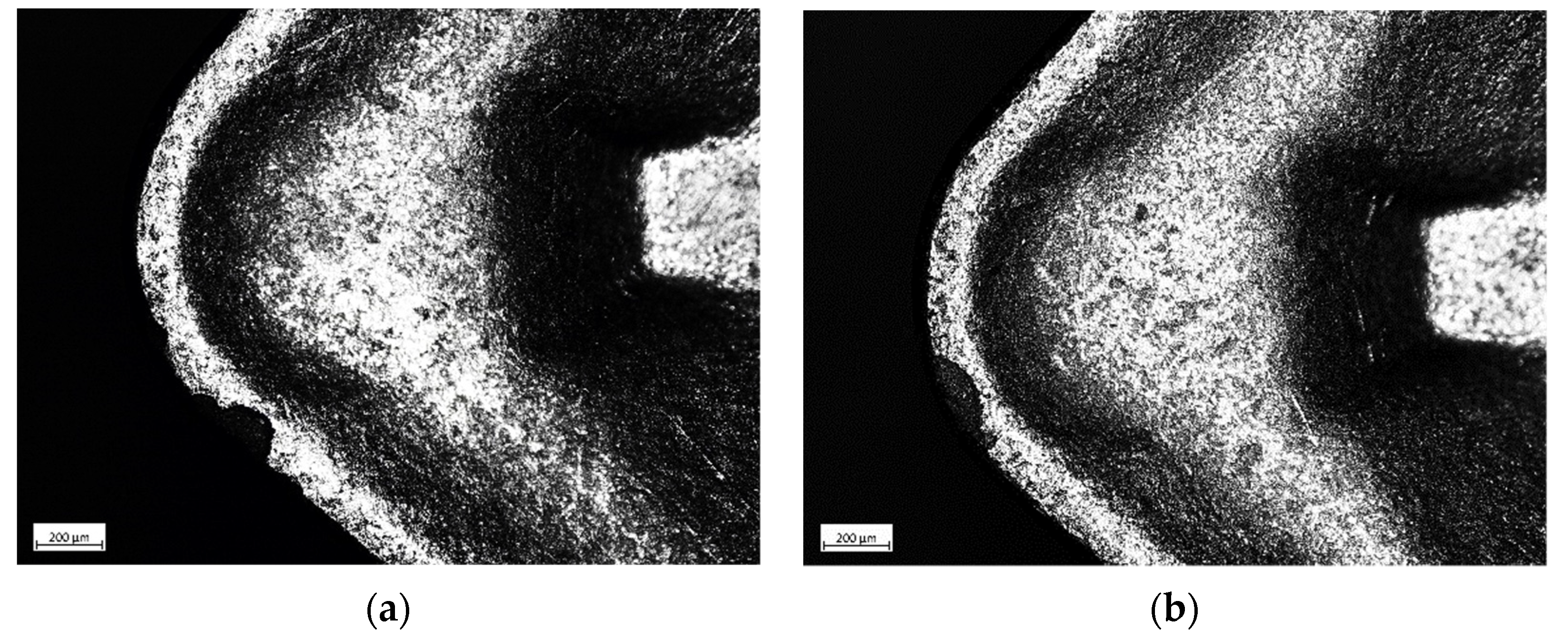 Lubricants 12 00099 g009