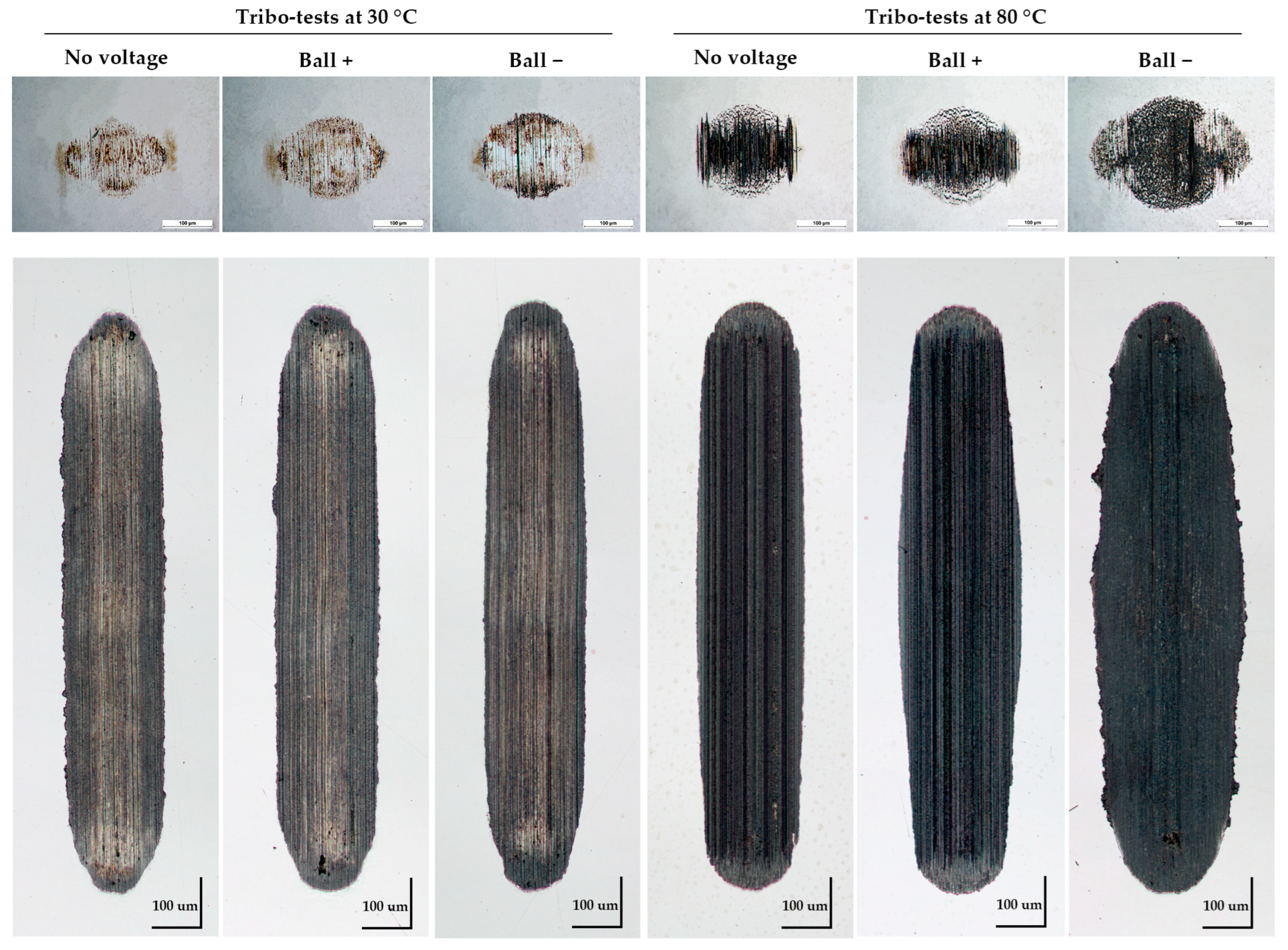 Lubricants 12 00104 g008