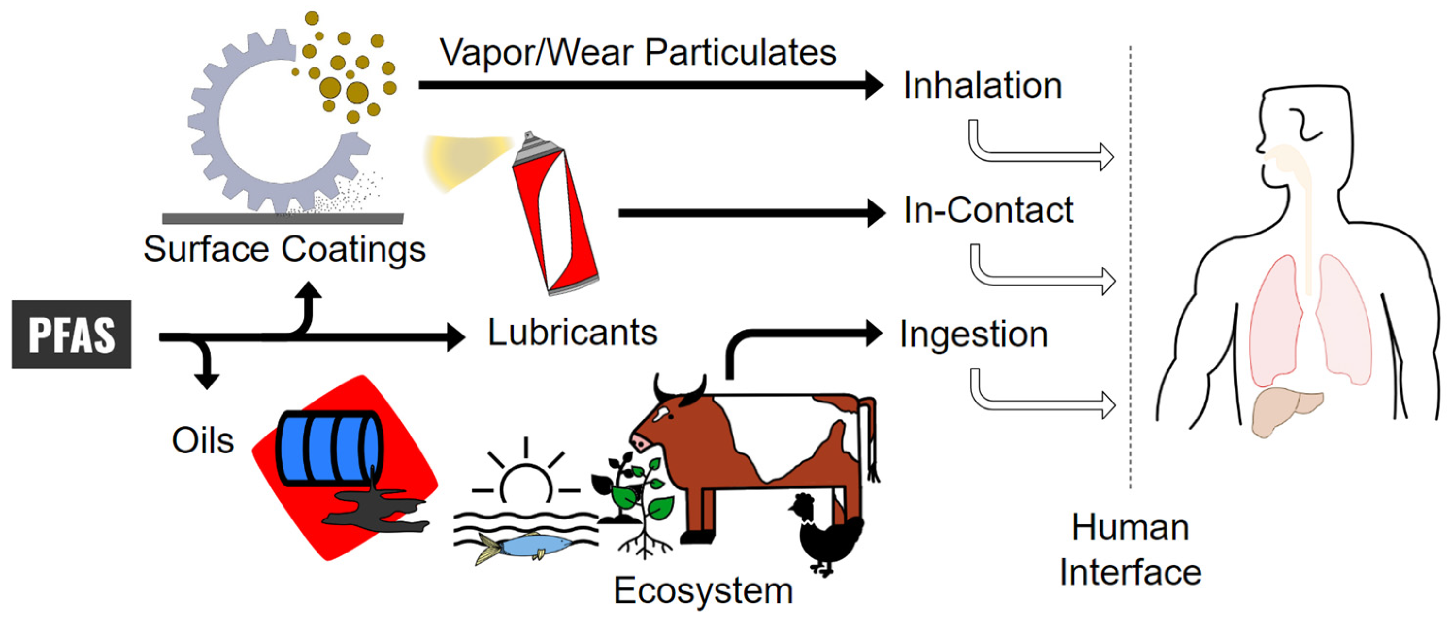 Lubricants 12 00114 g001