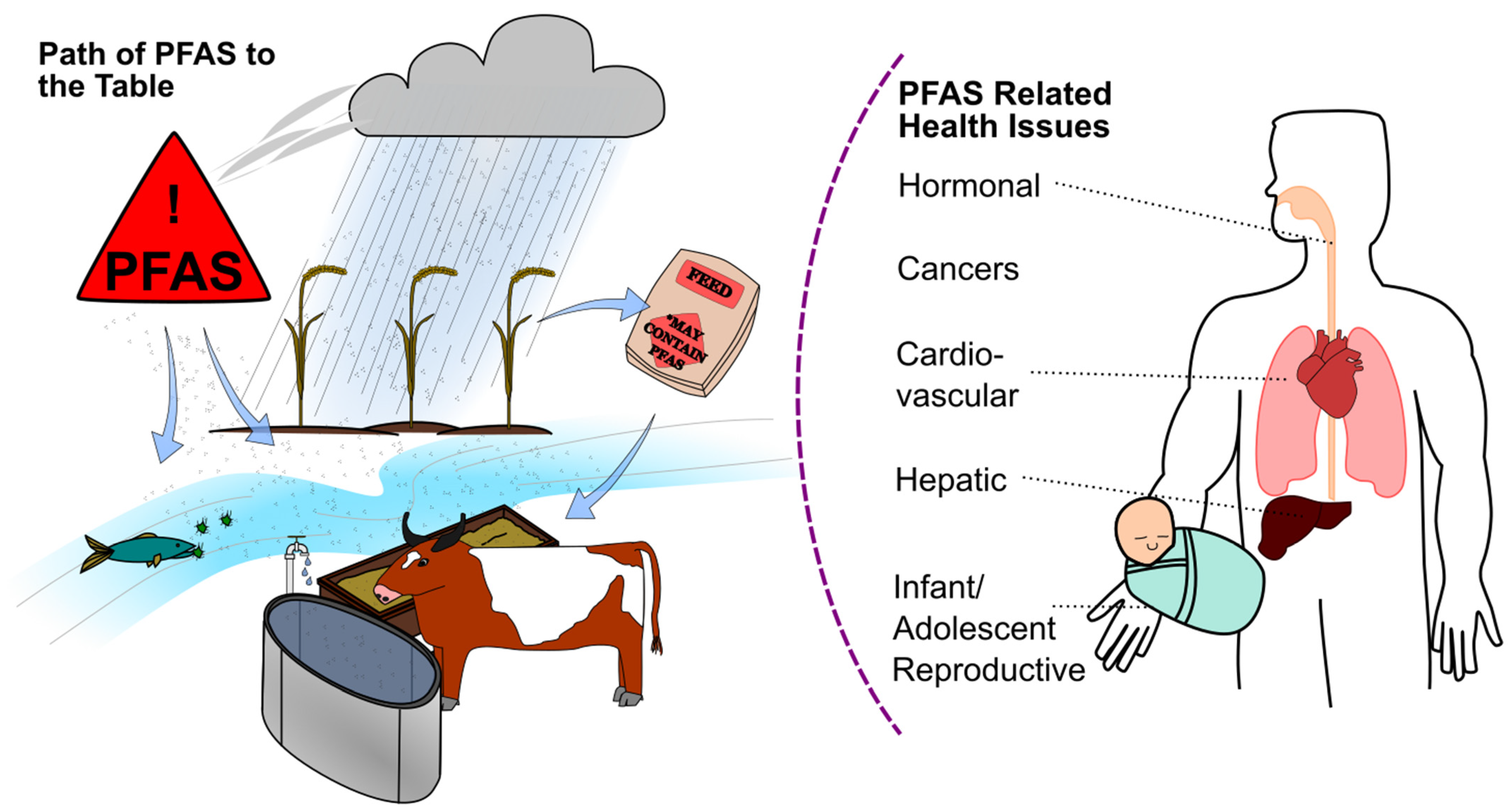 Lubricants 12 00114 g010