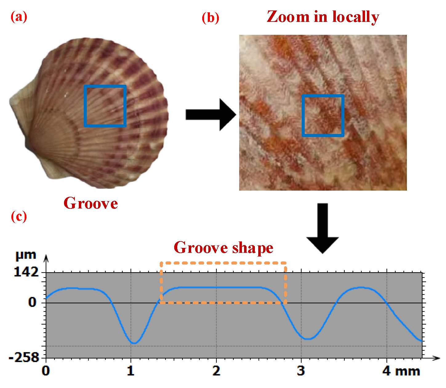 Lubricants 12 00118 g006