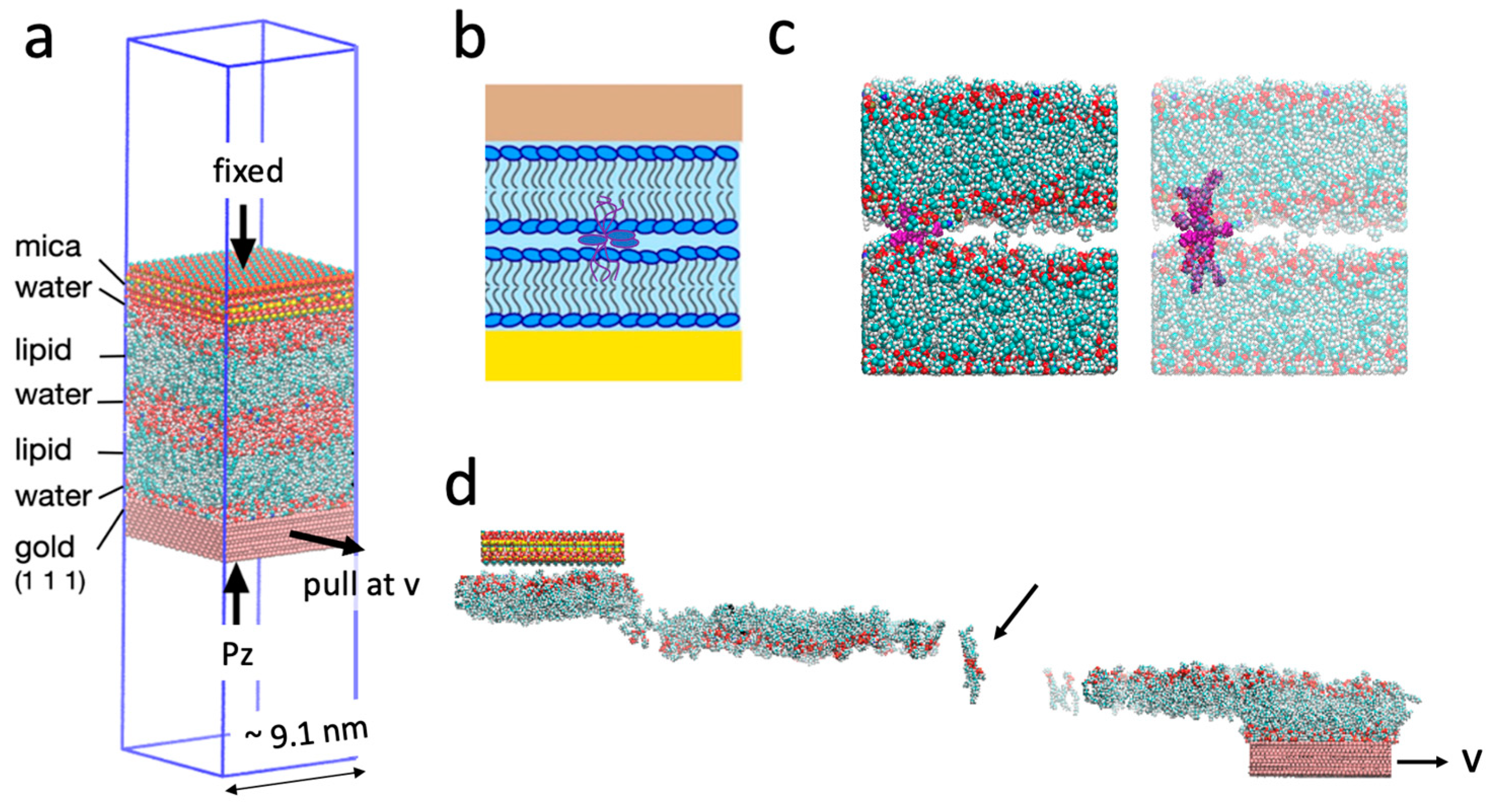 Lubricants 12 00120 g001