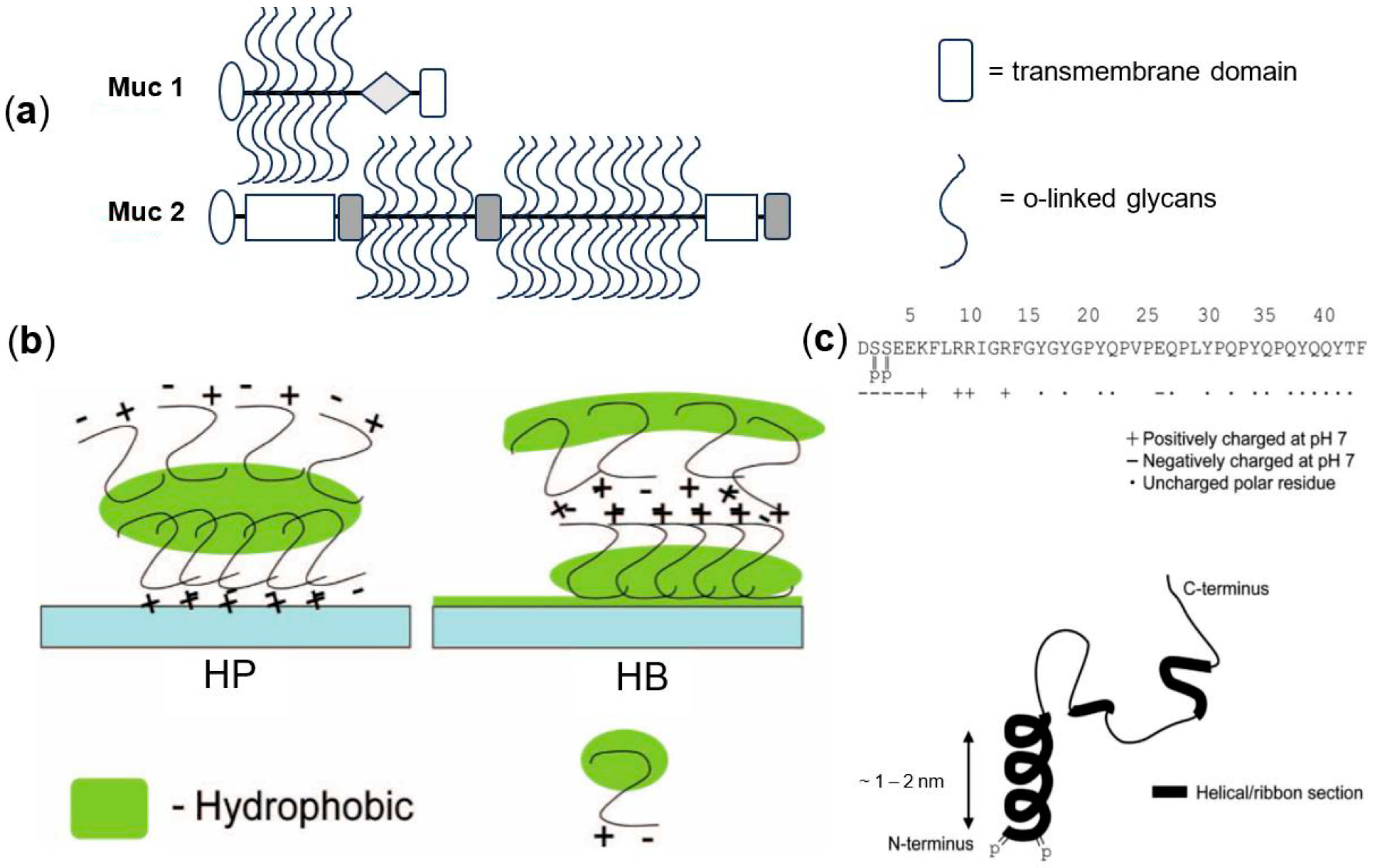 Lubricants 12 00126 g002