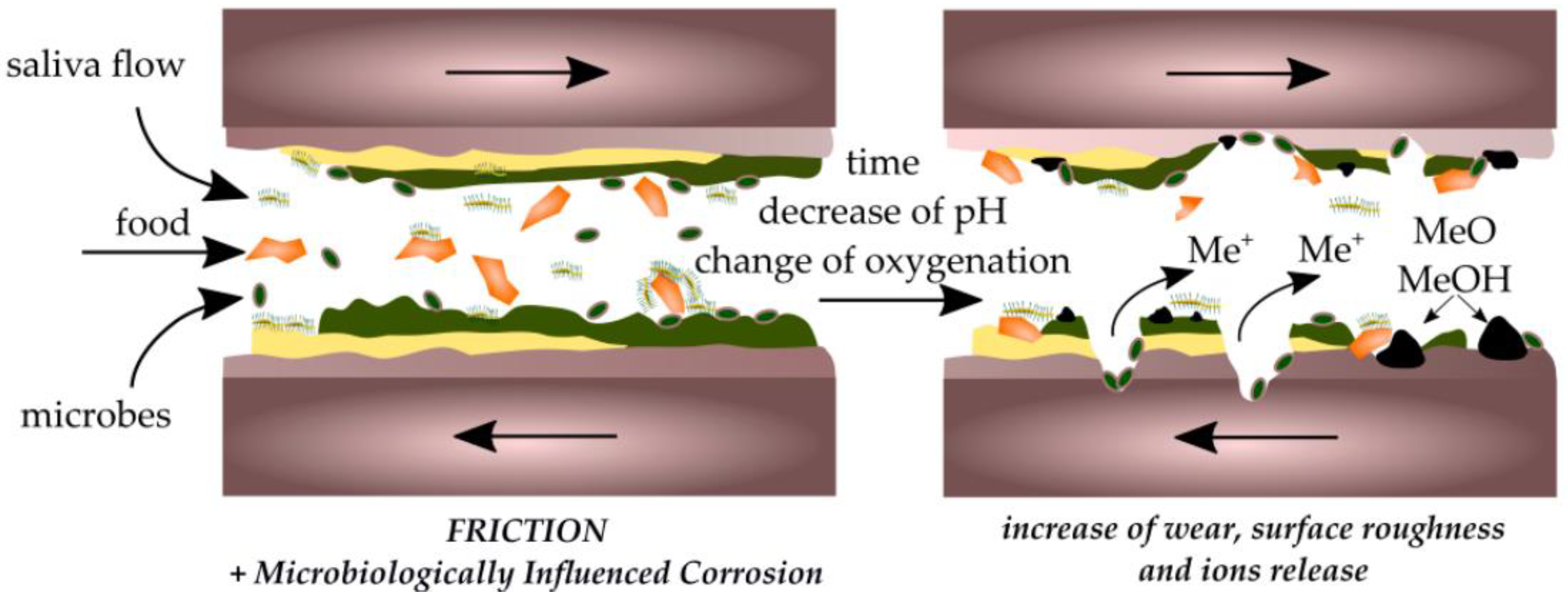 Lubricants 12 00126 g003