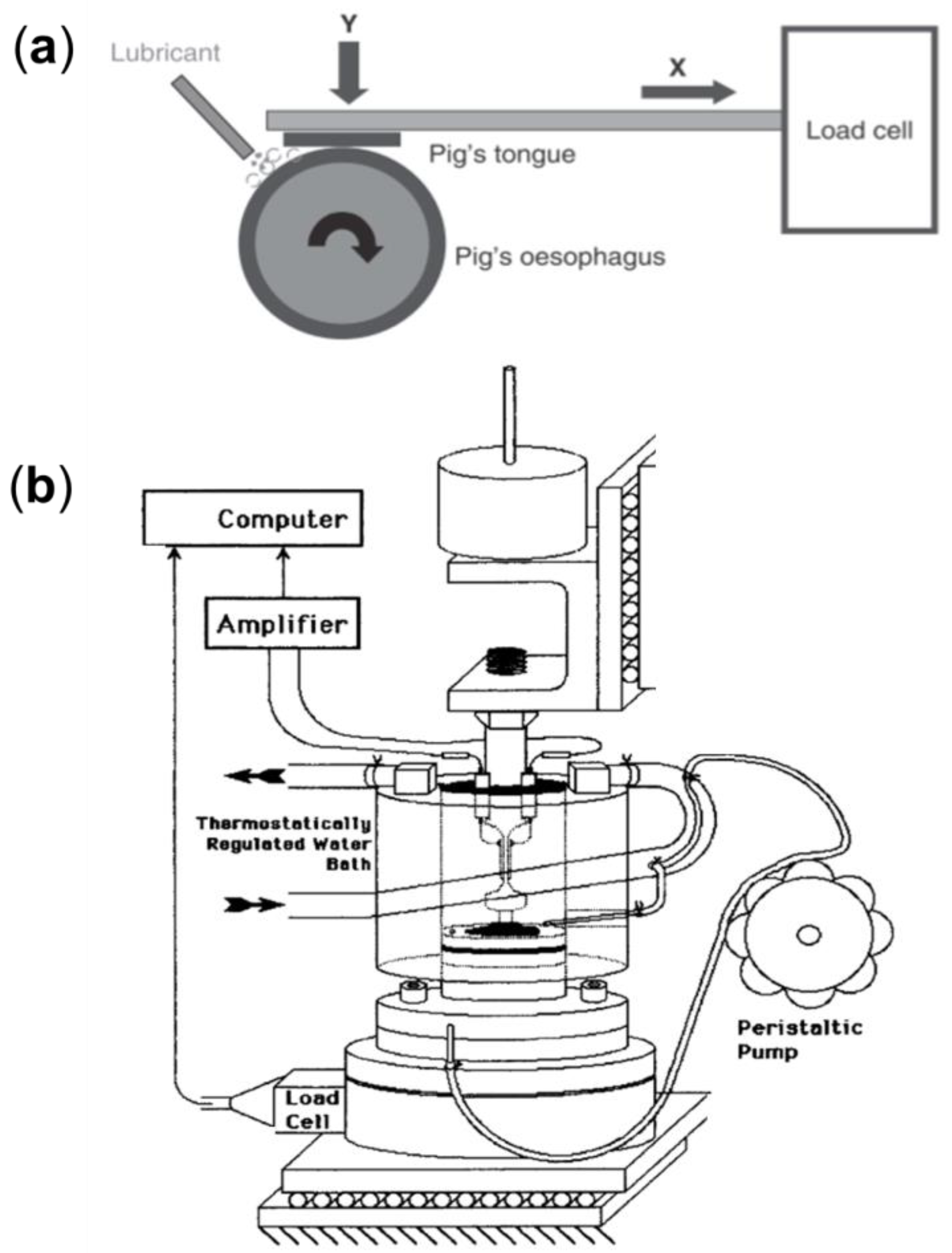 Lubricants 12 00126 g004