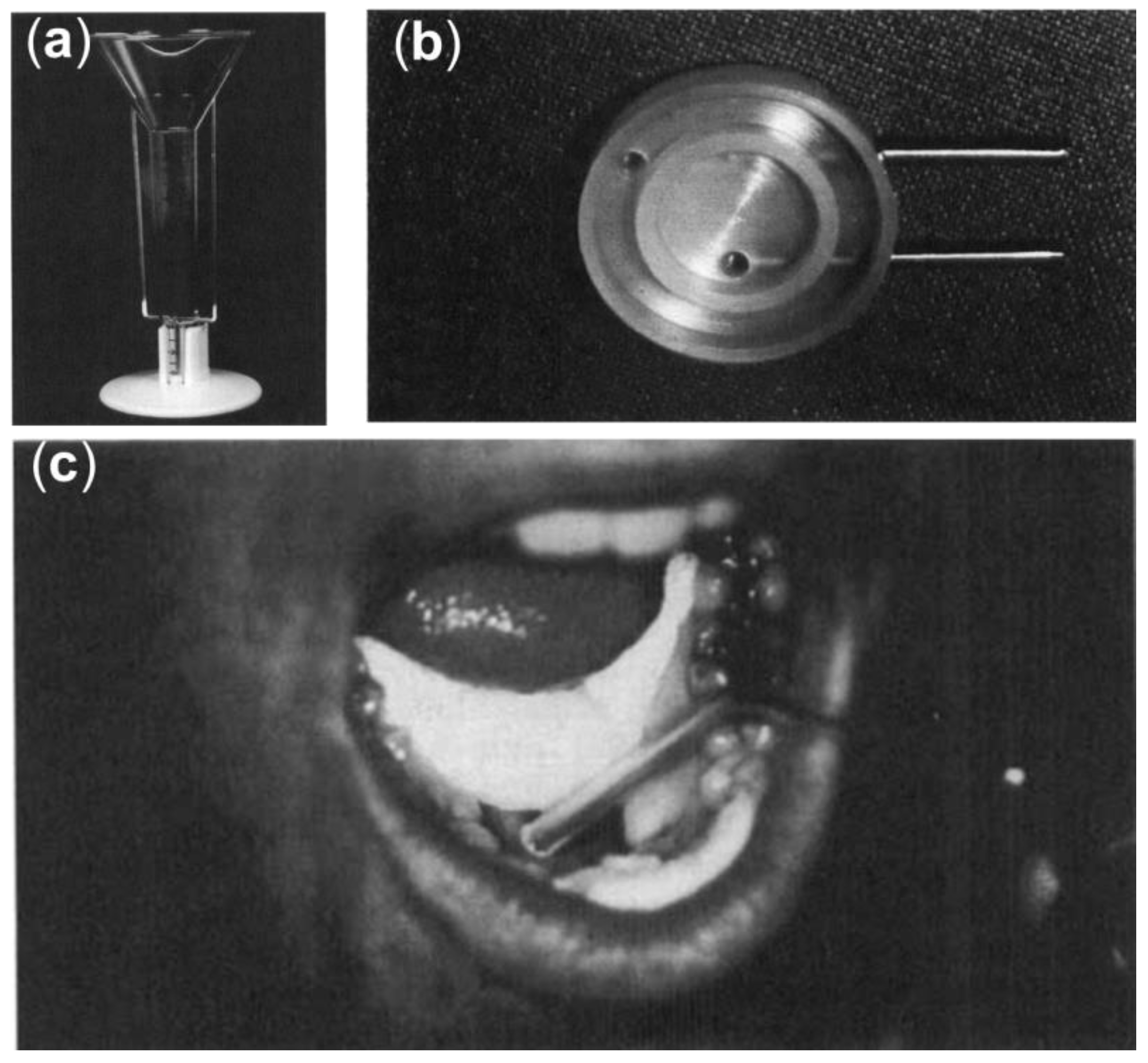 Lubricants 12 00126 g005