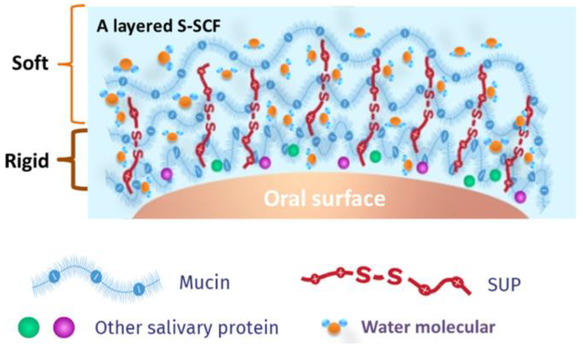 Lubricants 12 00126 g006