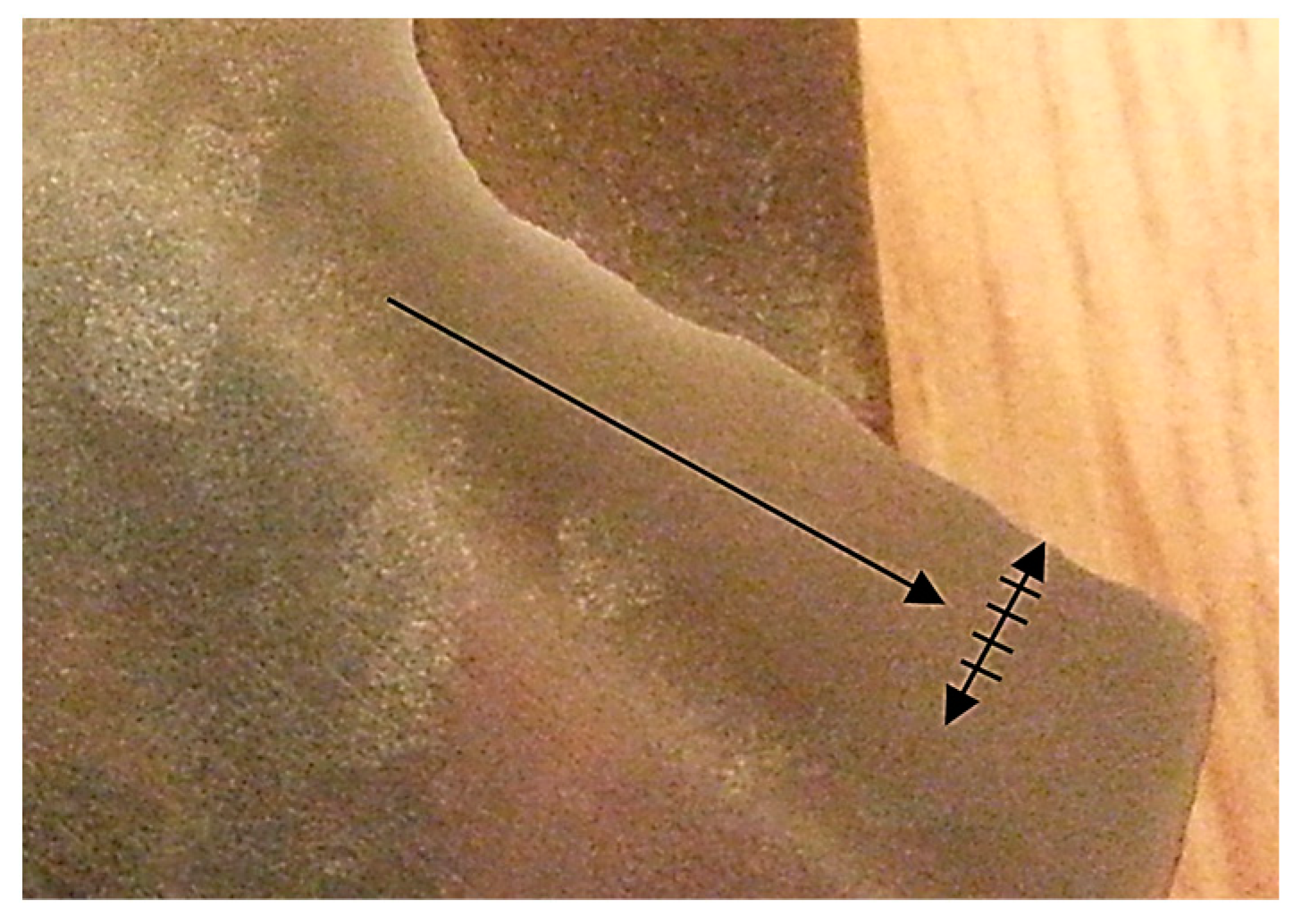 Lubricants 12 00131 g002