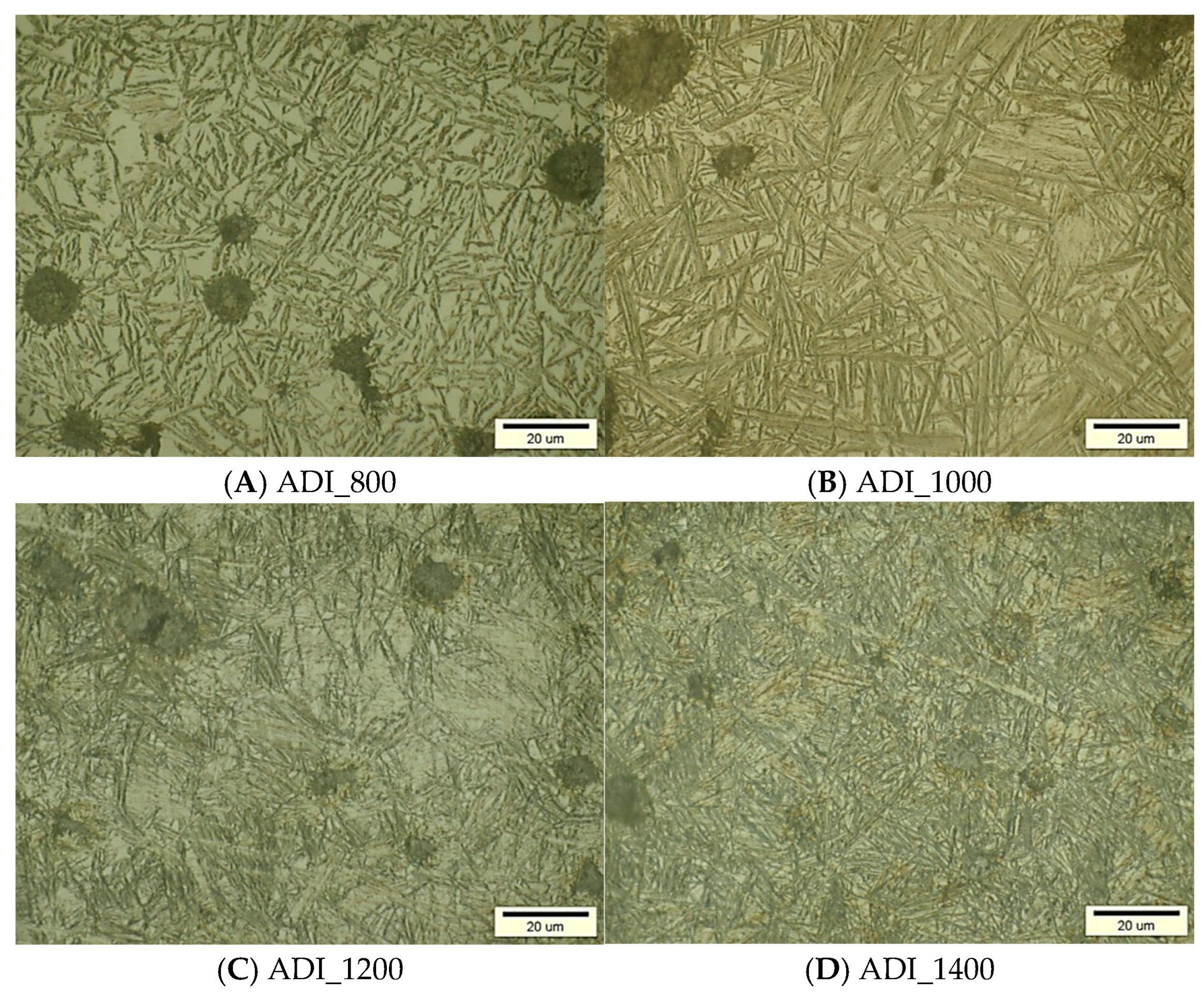 Lubricants 12 00131 g005