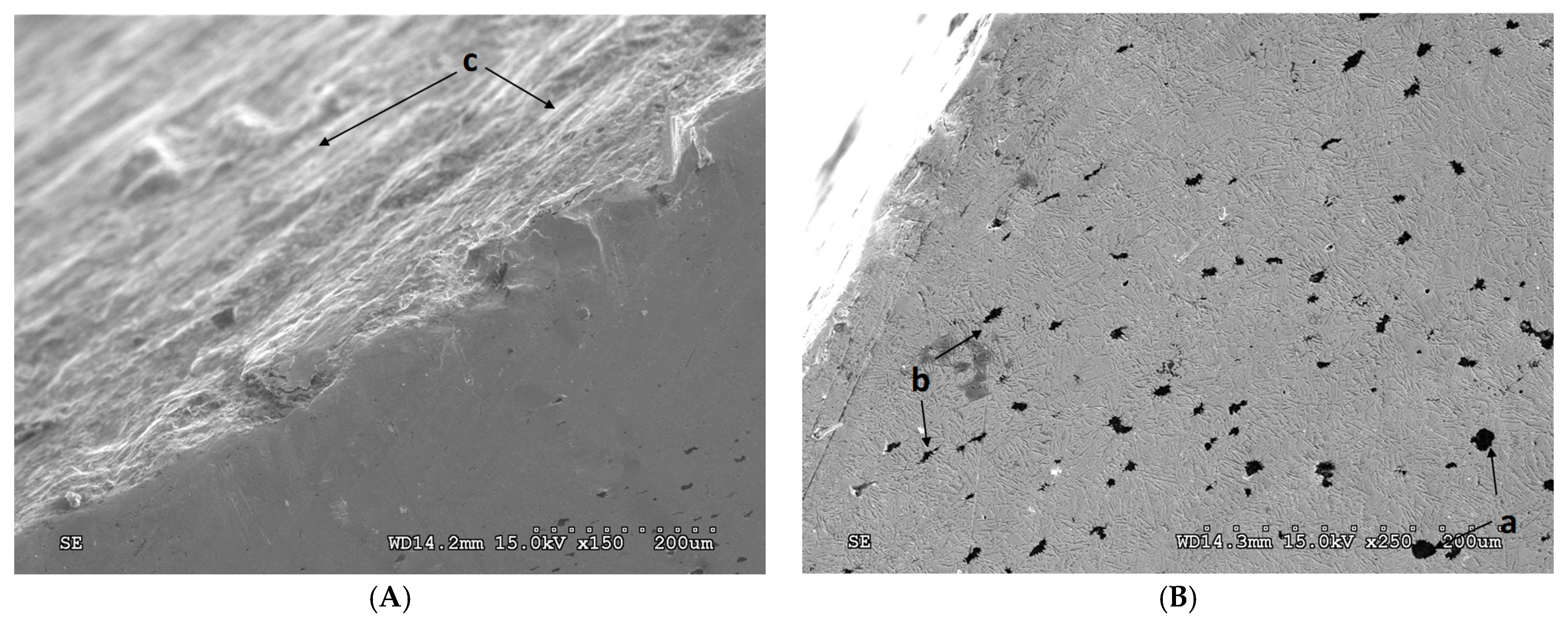 Lubricants 12 00131 g008