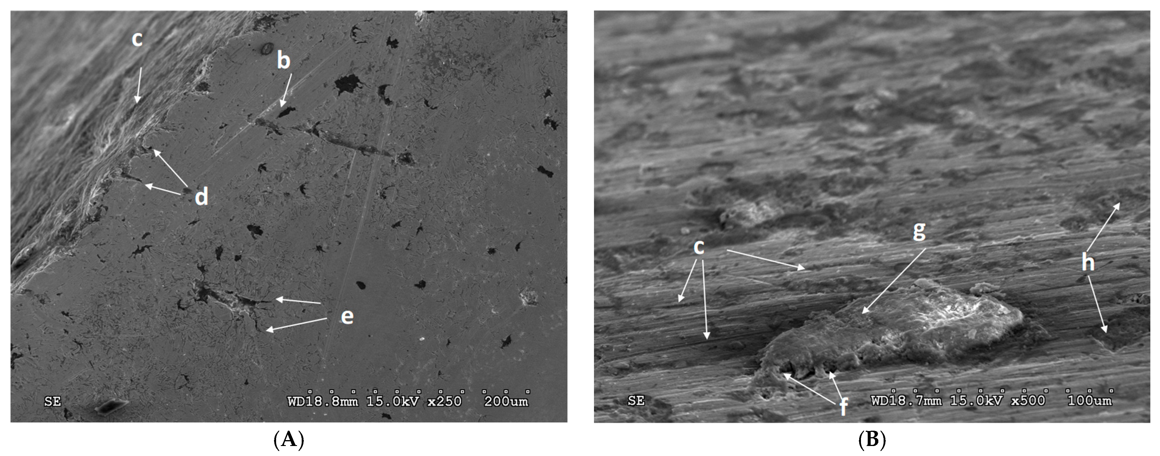 Lubricants 12 00131 g009