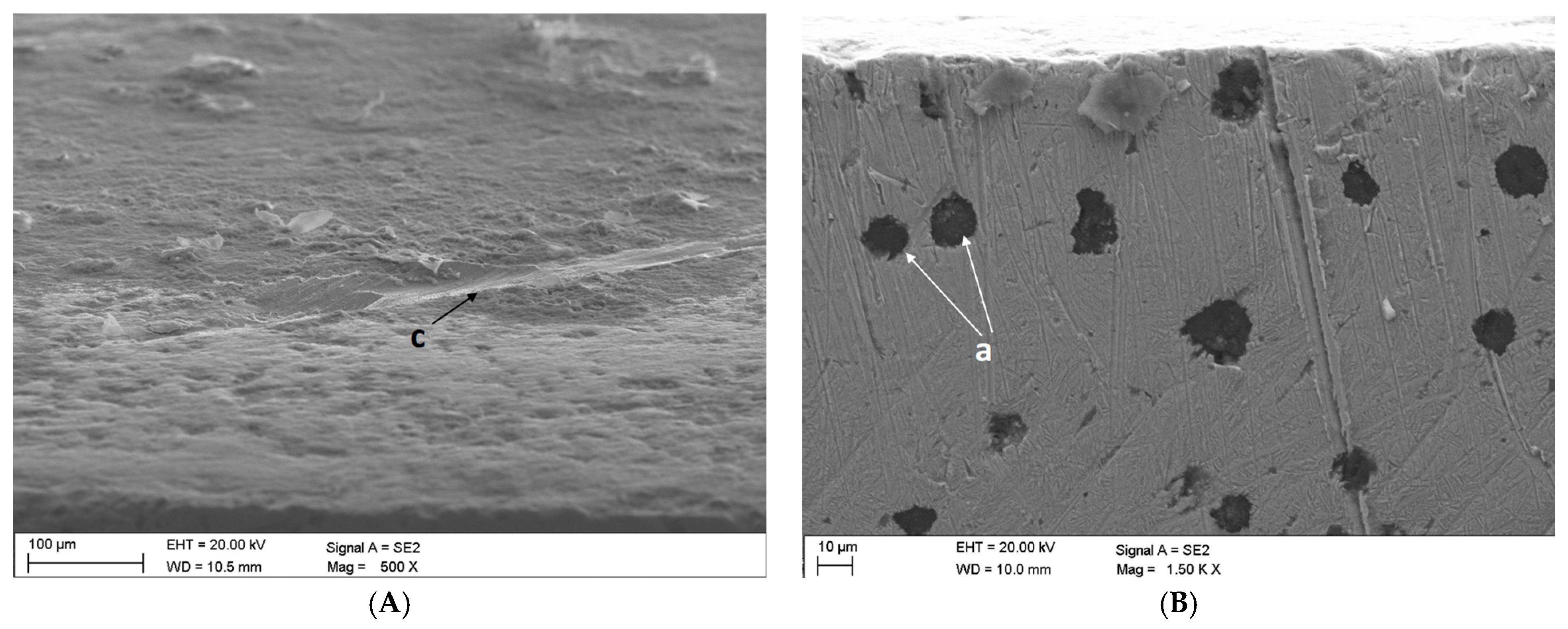 Lubricants 12 00131 g011