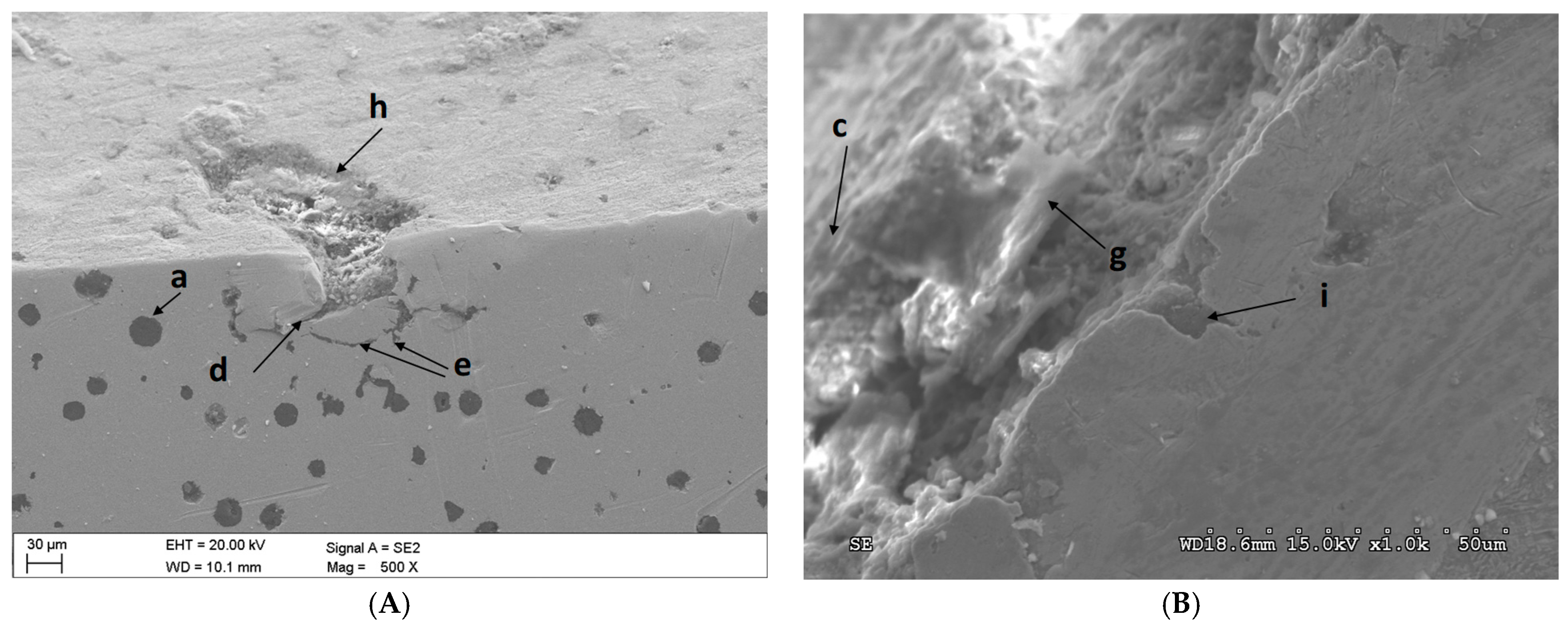 Lubricants 12 00131 g013
