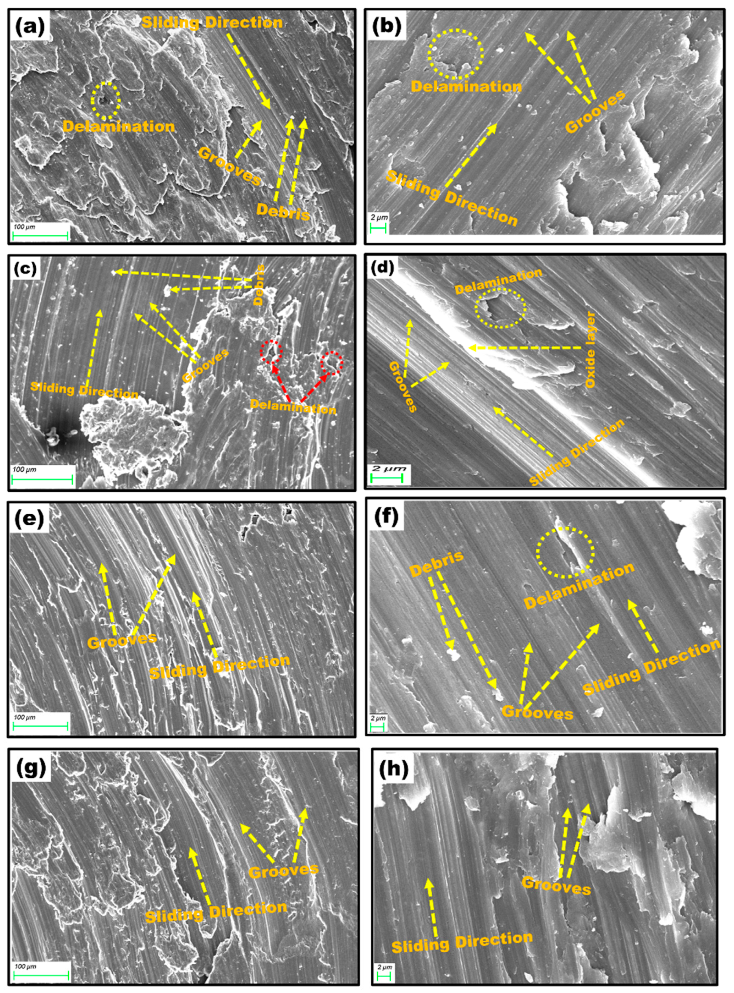 Lubricants 12 00139 g009